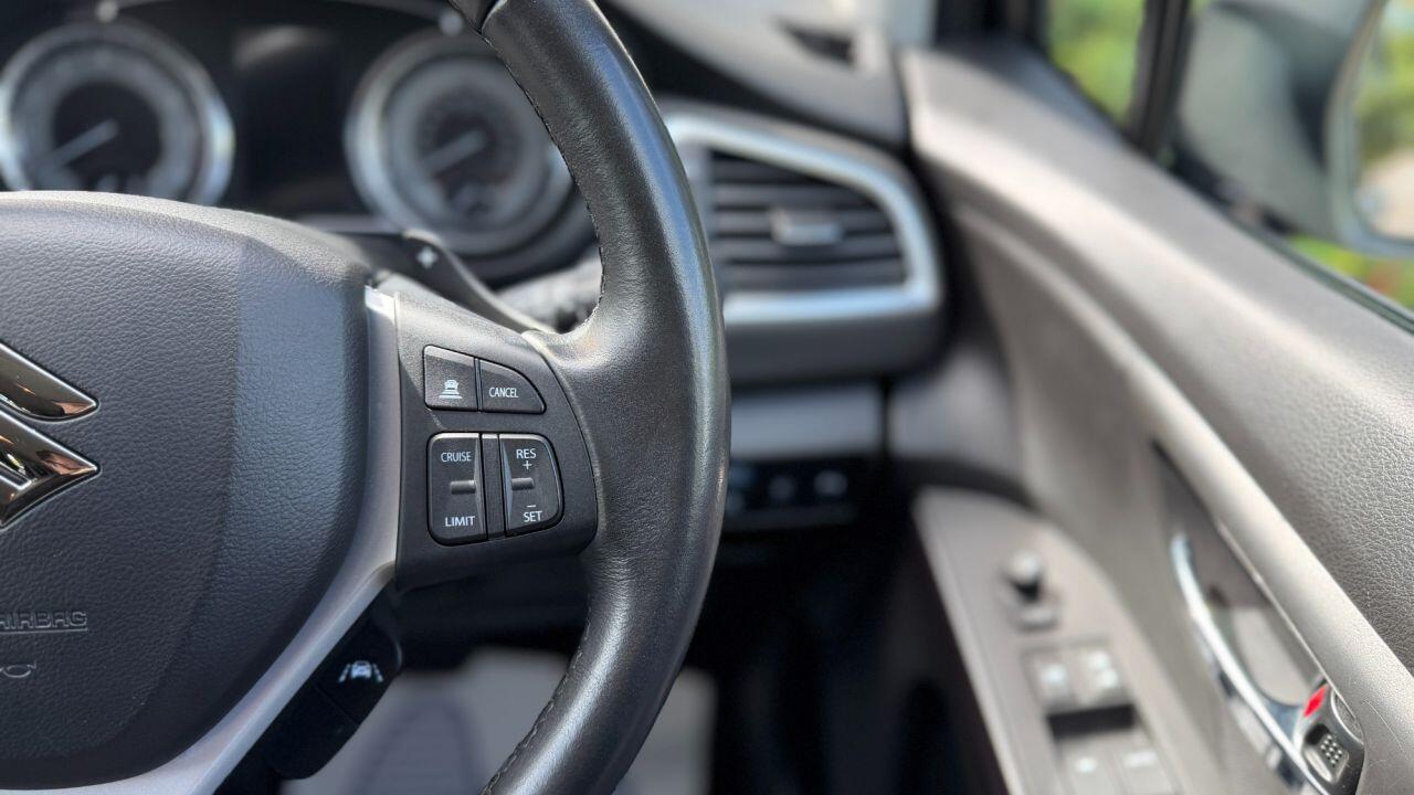 Suzuki S-Cross view 18
