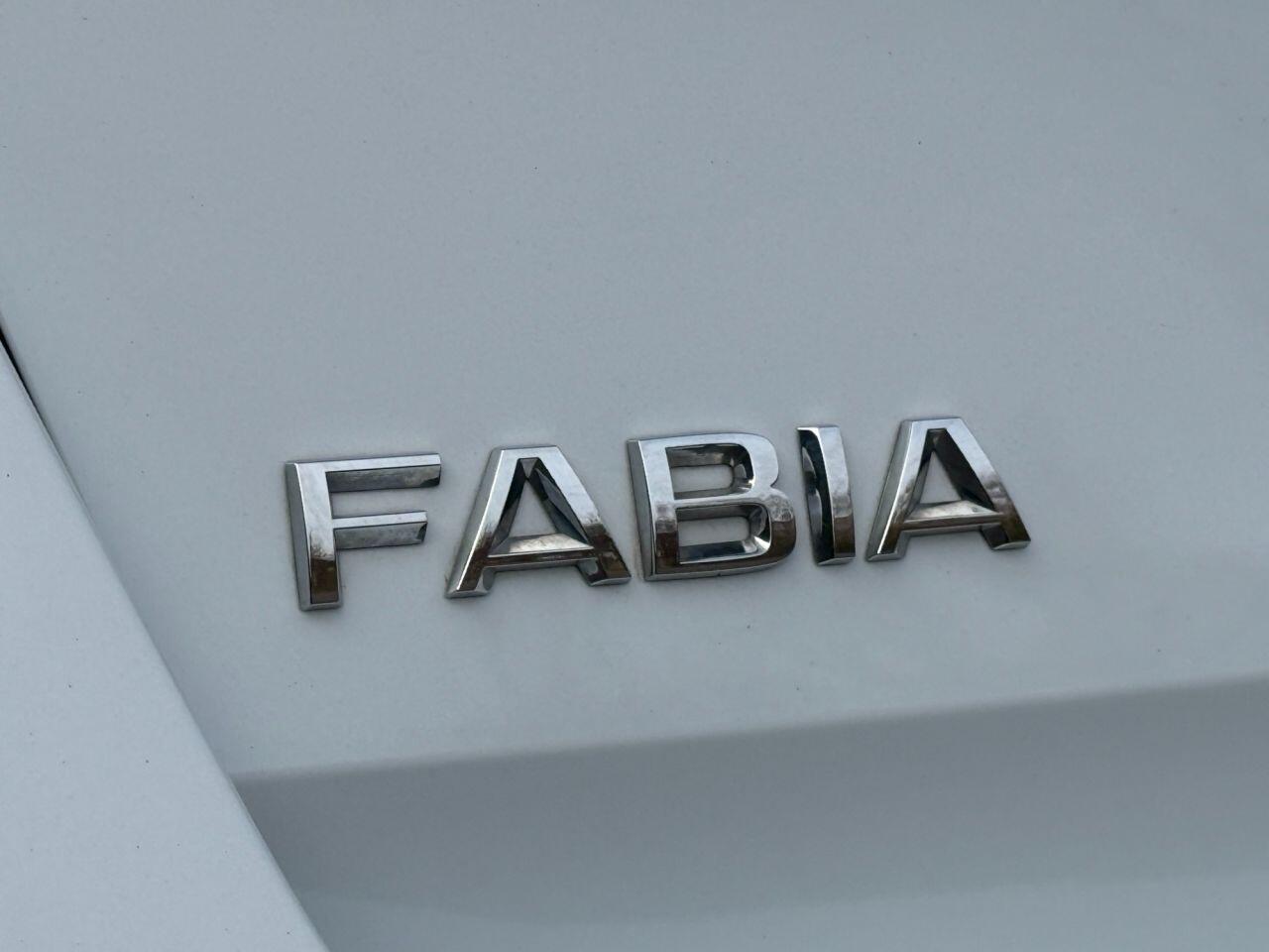 Skoda Fabia view 49