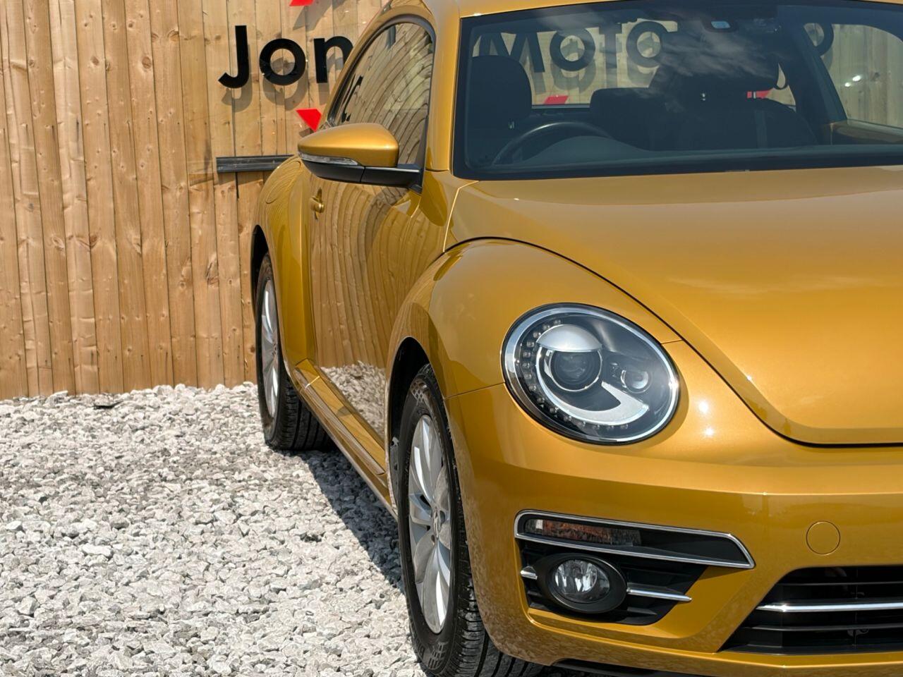 Volkswagen Beetle view 11