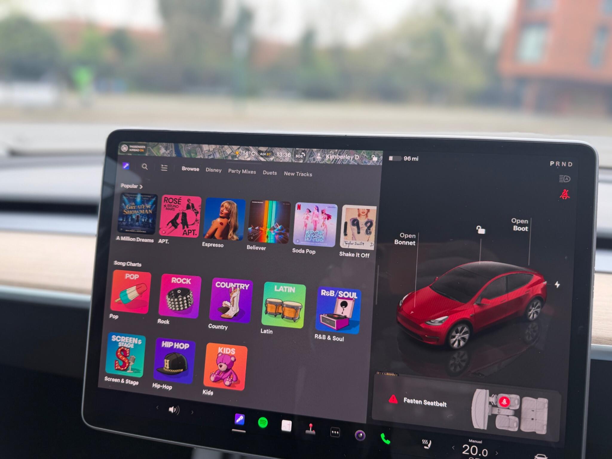 Tesla Model Y view 48