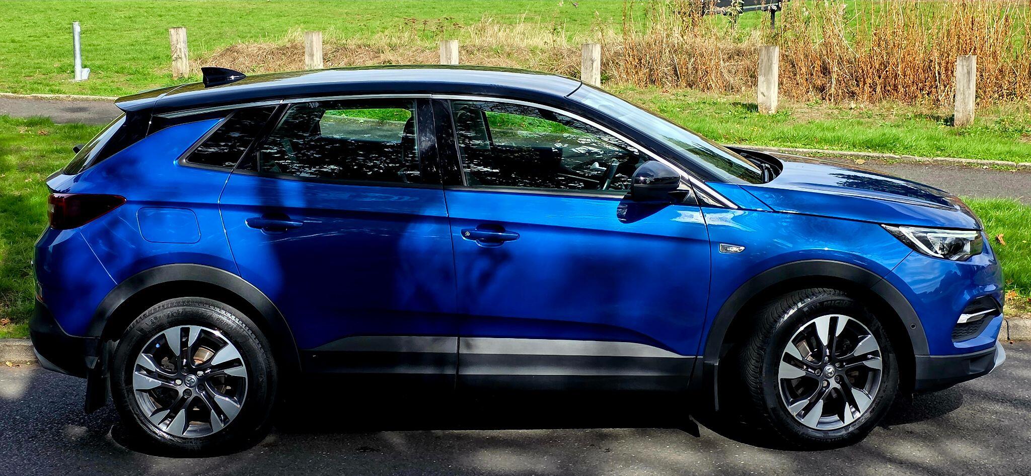 Vauxhall Grandland X view 10