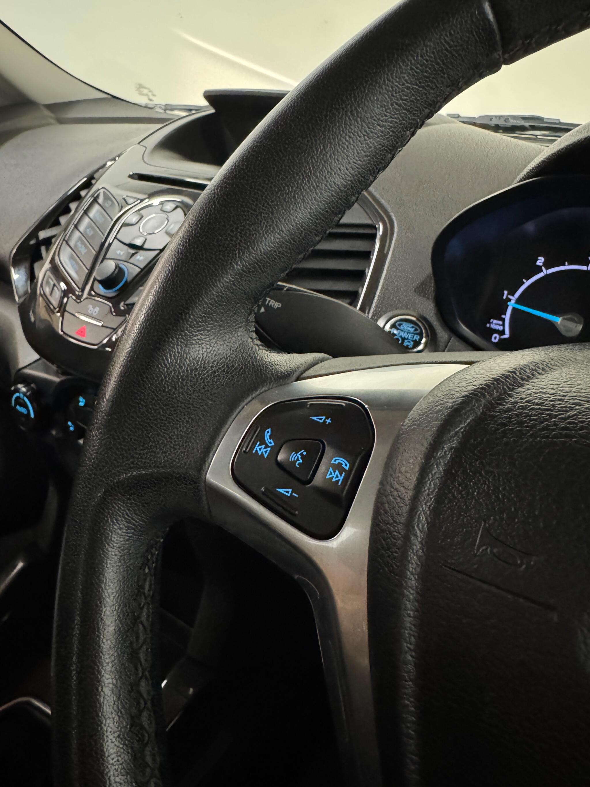 Ford Ecosport view 24