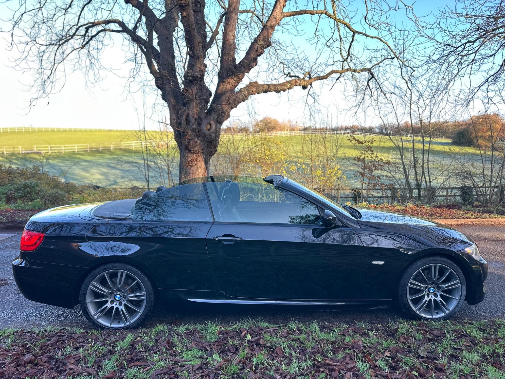 2010 BMW 3 Series image 25