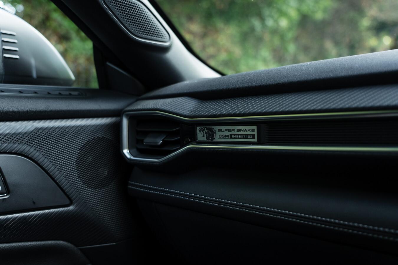 Ford Mustang view 46