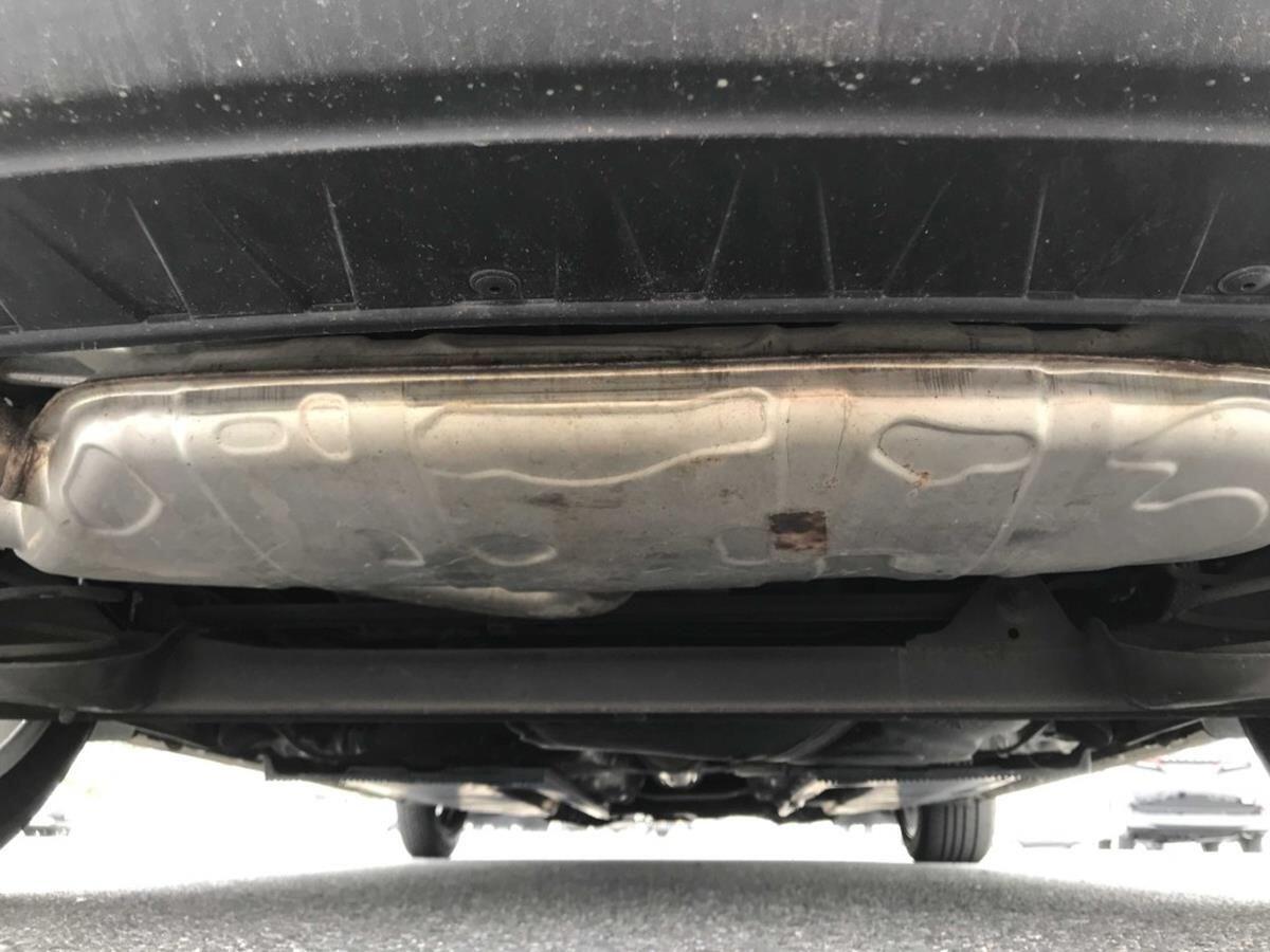 Volkswagen Beetle view 18