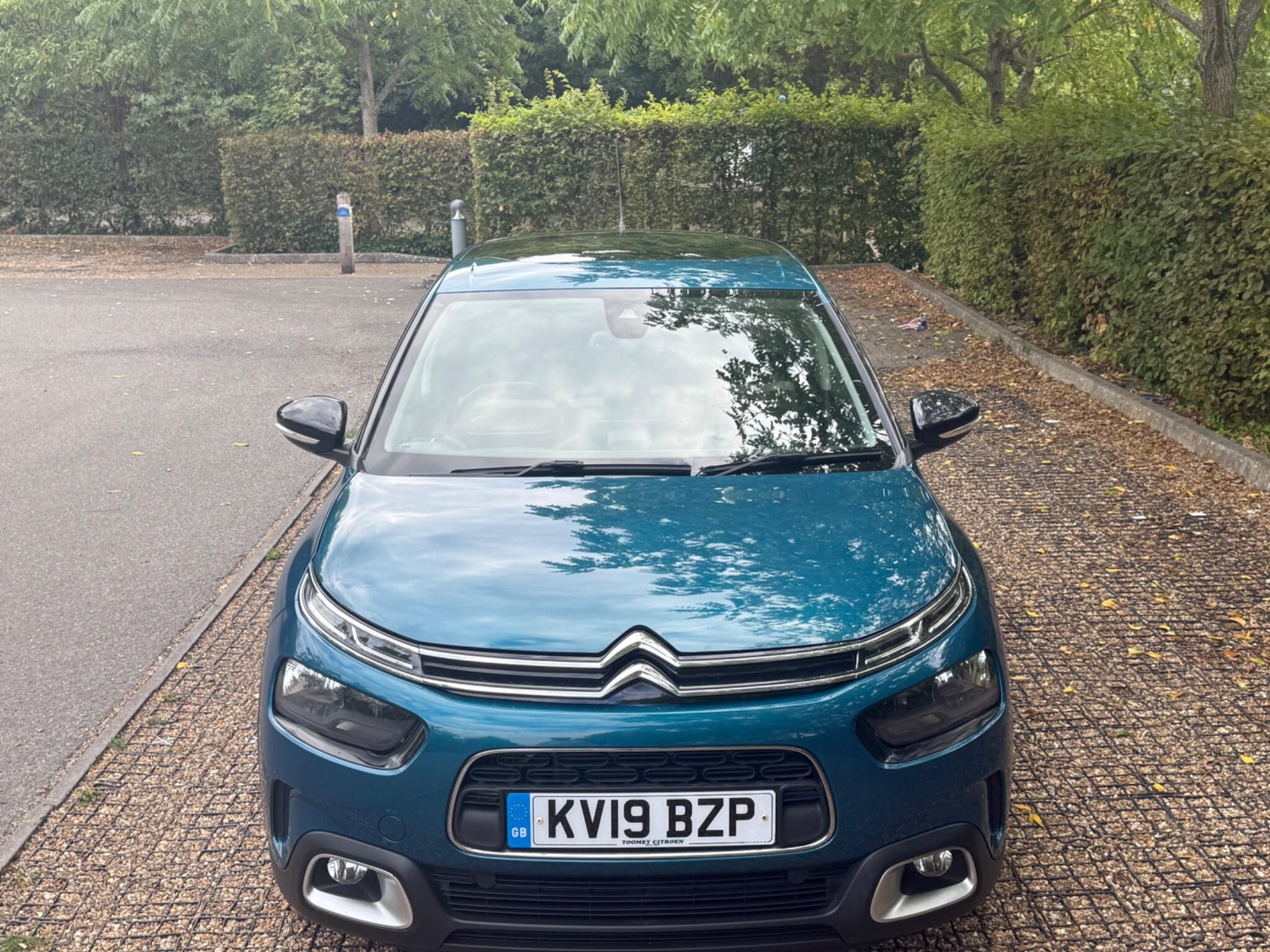 Citroen C4 Cactus view 15