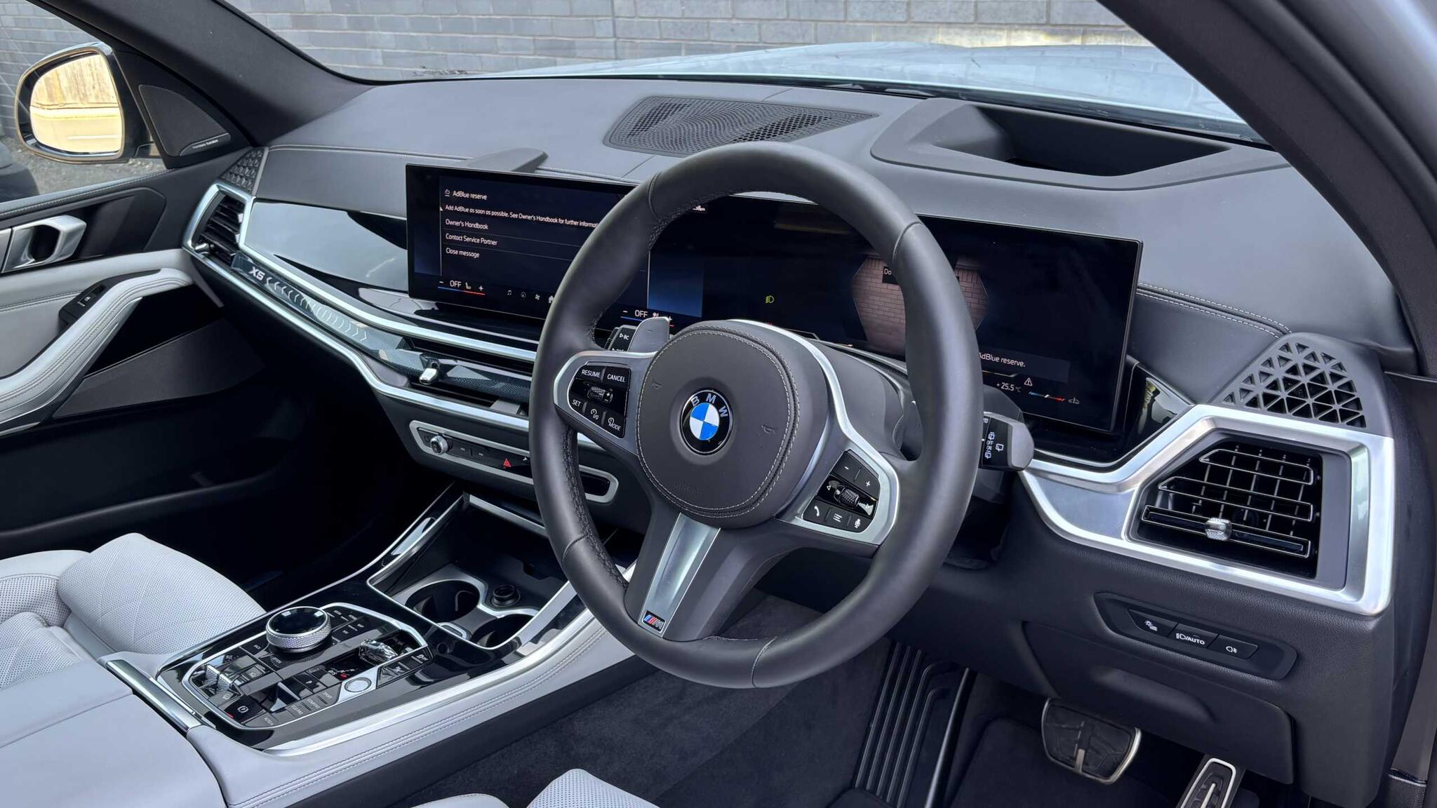 BMW X5 view 7