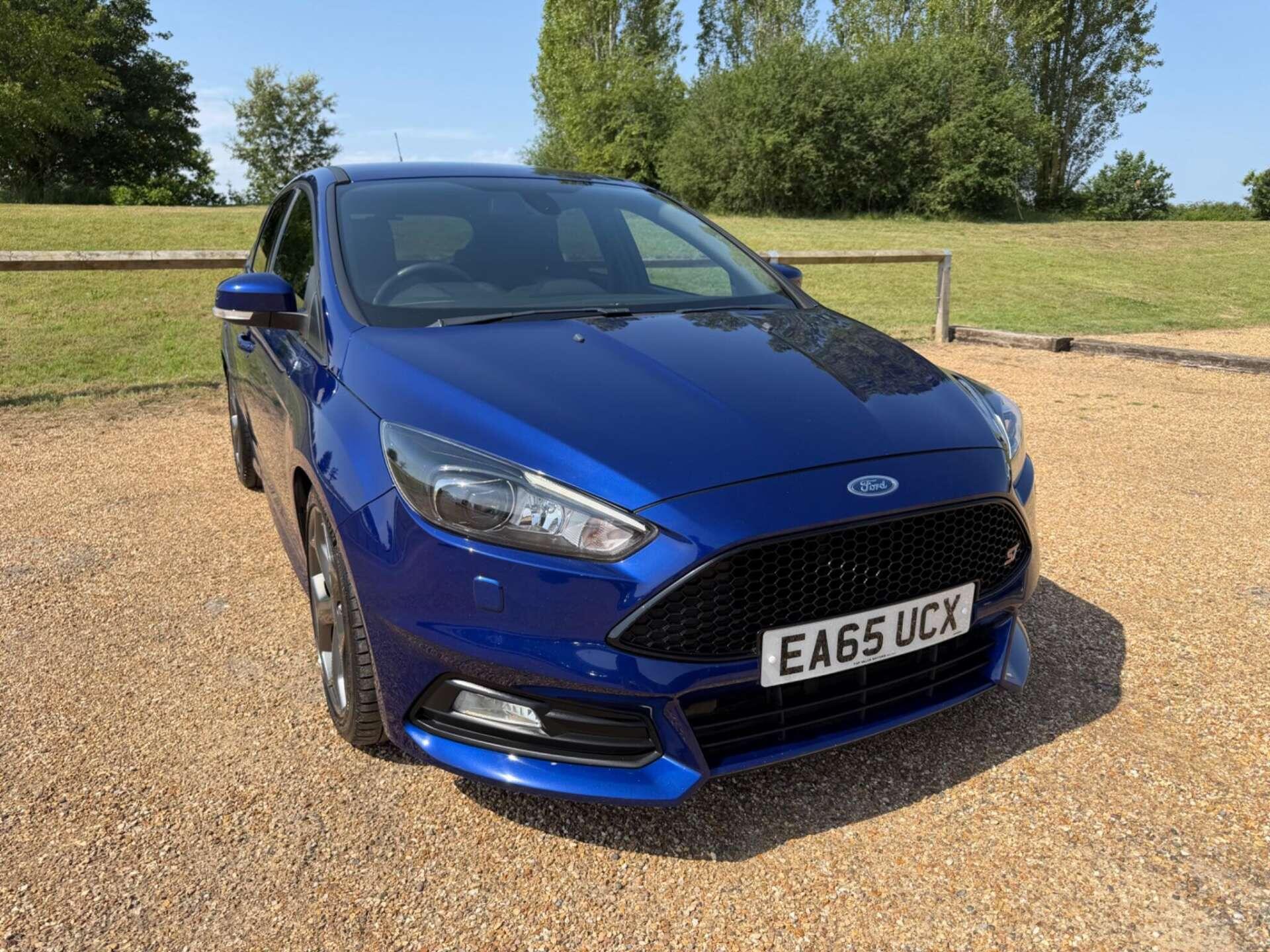 2015 Ford Focus in Blue for sale