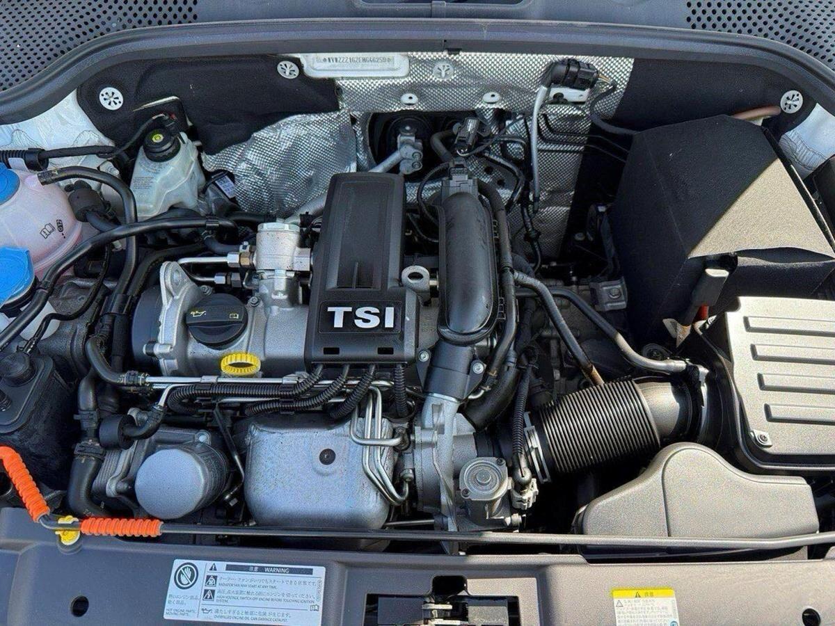 Volkswagen Beetle view 19