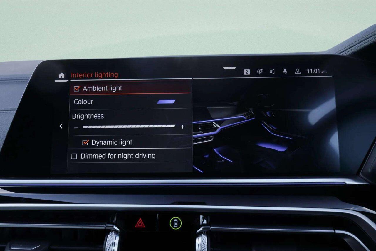 BMW X5 X5 view 29