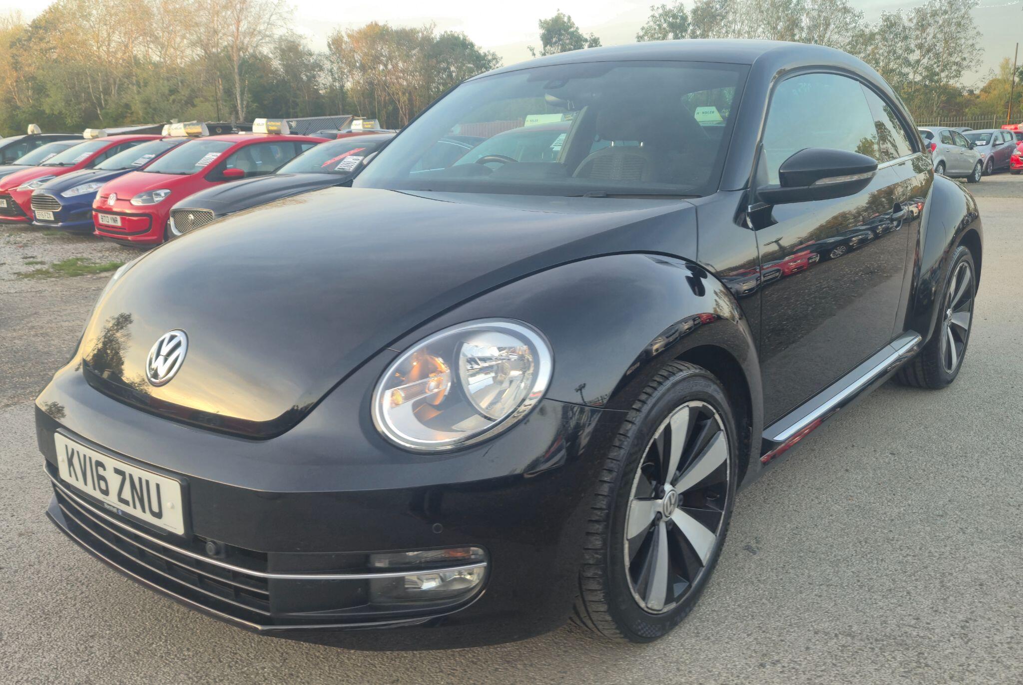 Volkswagen Beetle view 4