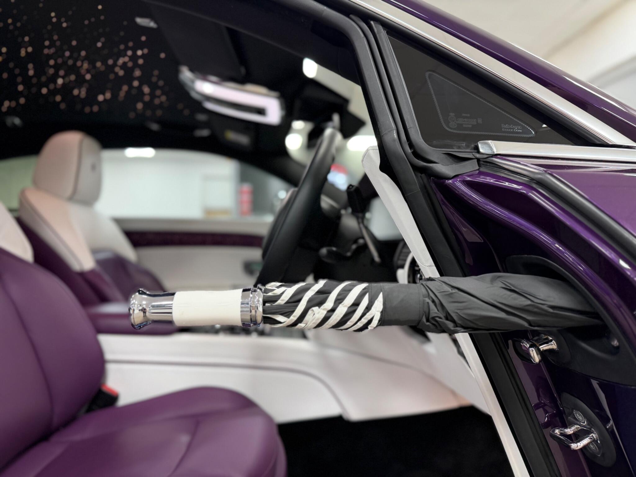 Rolls-Royce Spectre view 25
