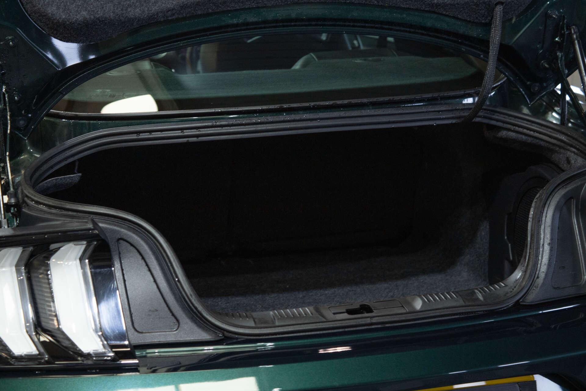 Ford Mustang view 22