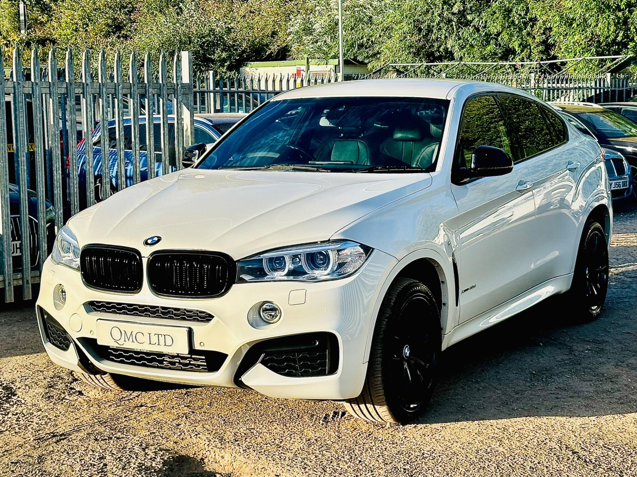 BMW X6 view 10