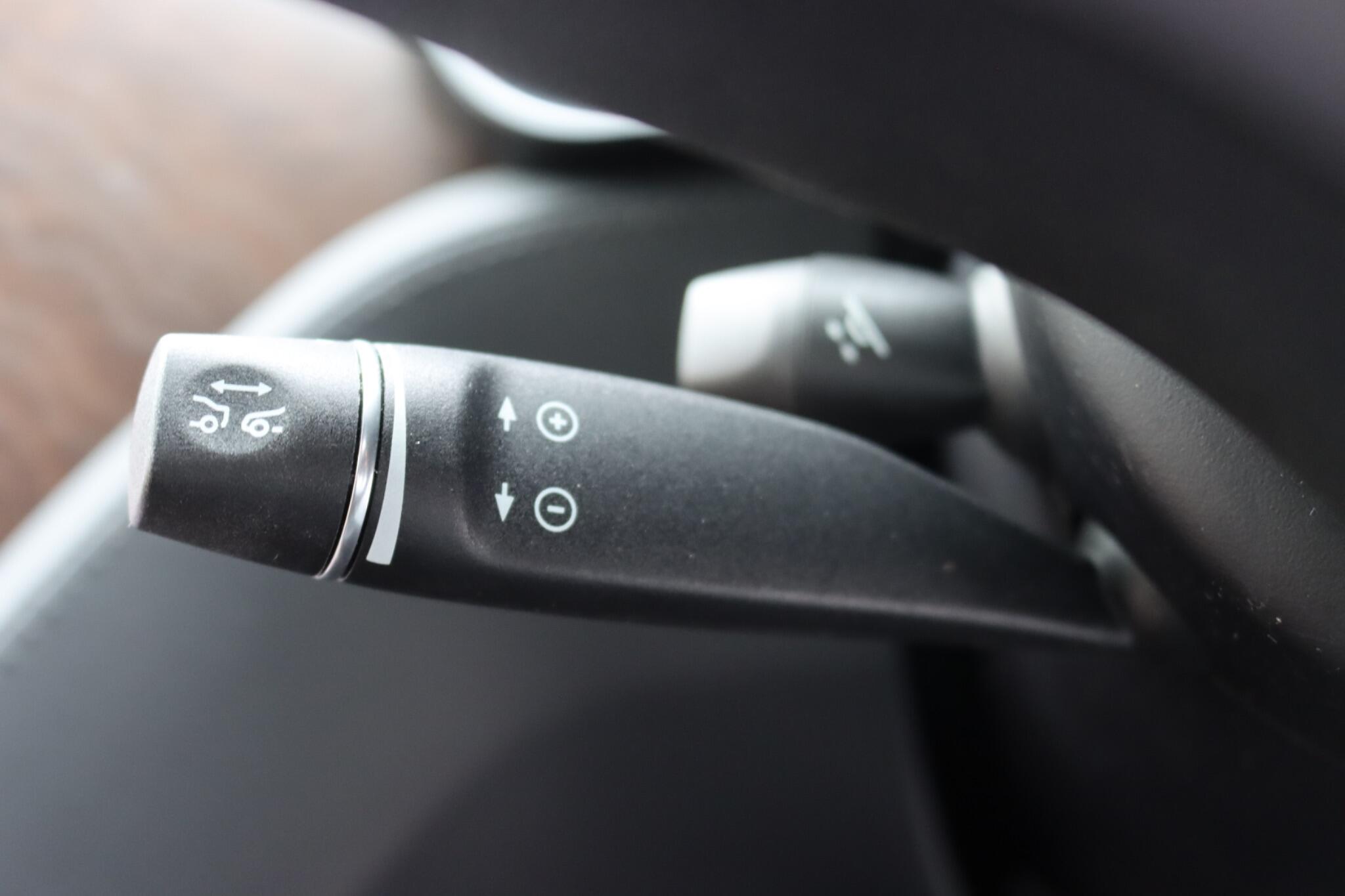 Tesla Model X view 64