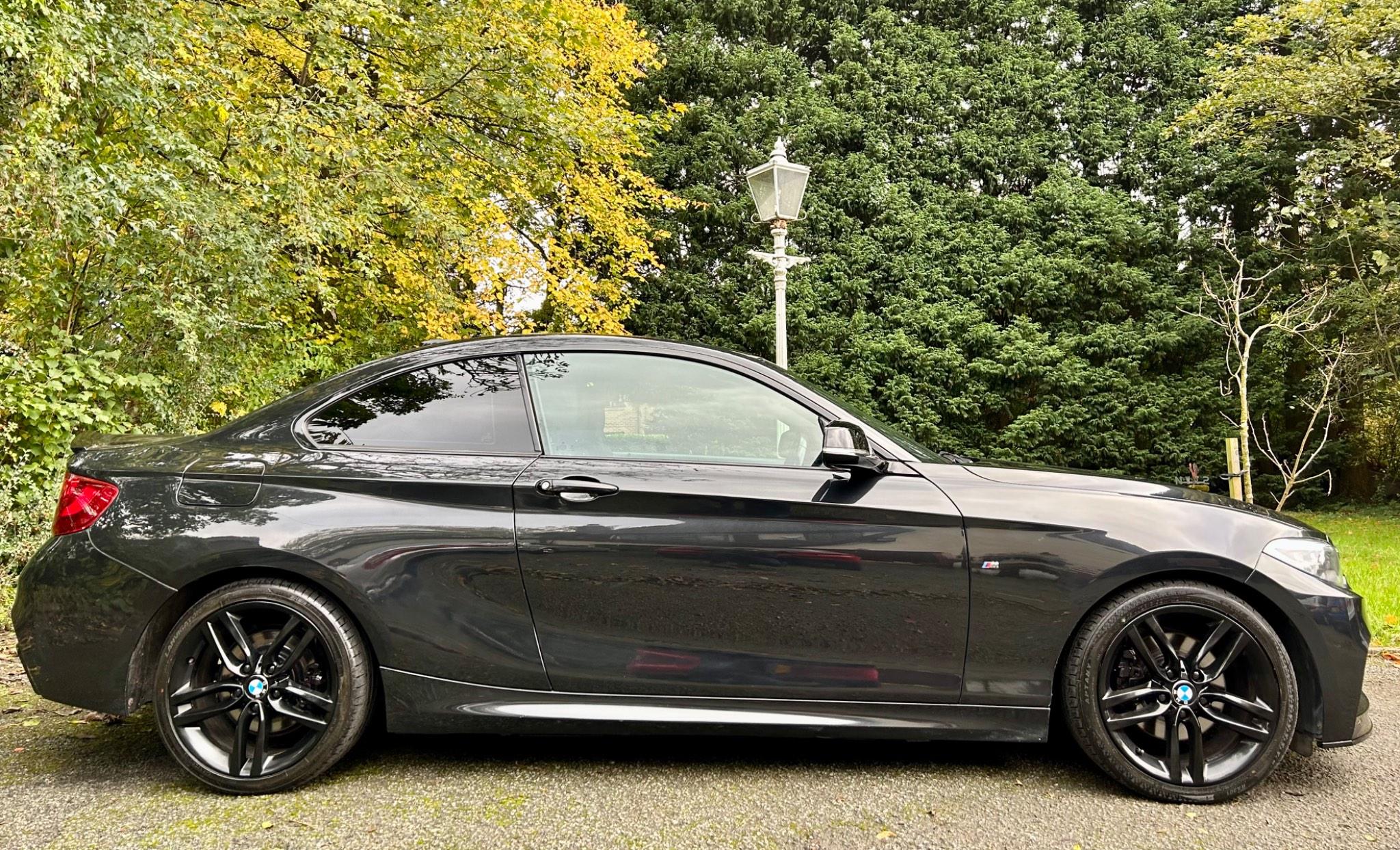 BMW 2 Series view 9