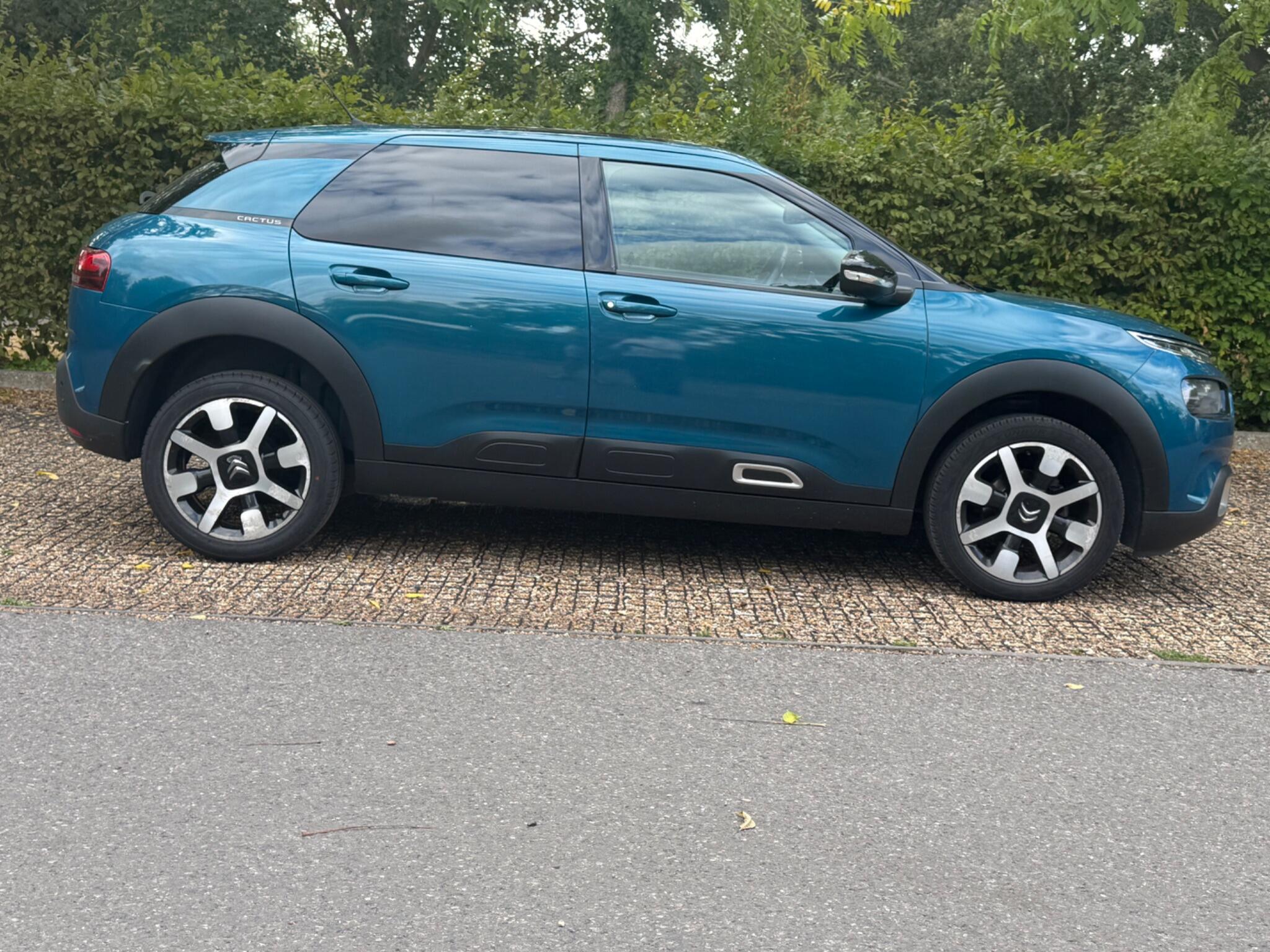 Citroen C4 Cactus view 32