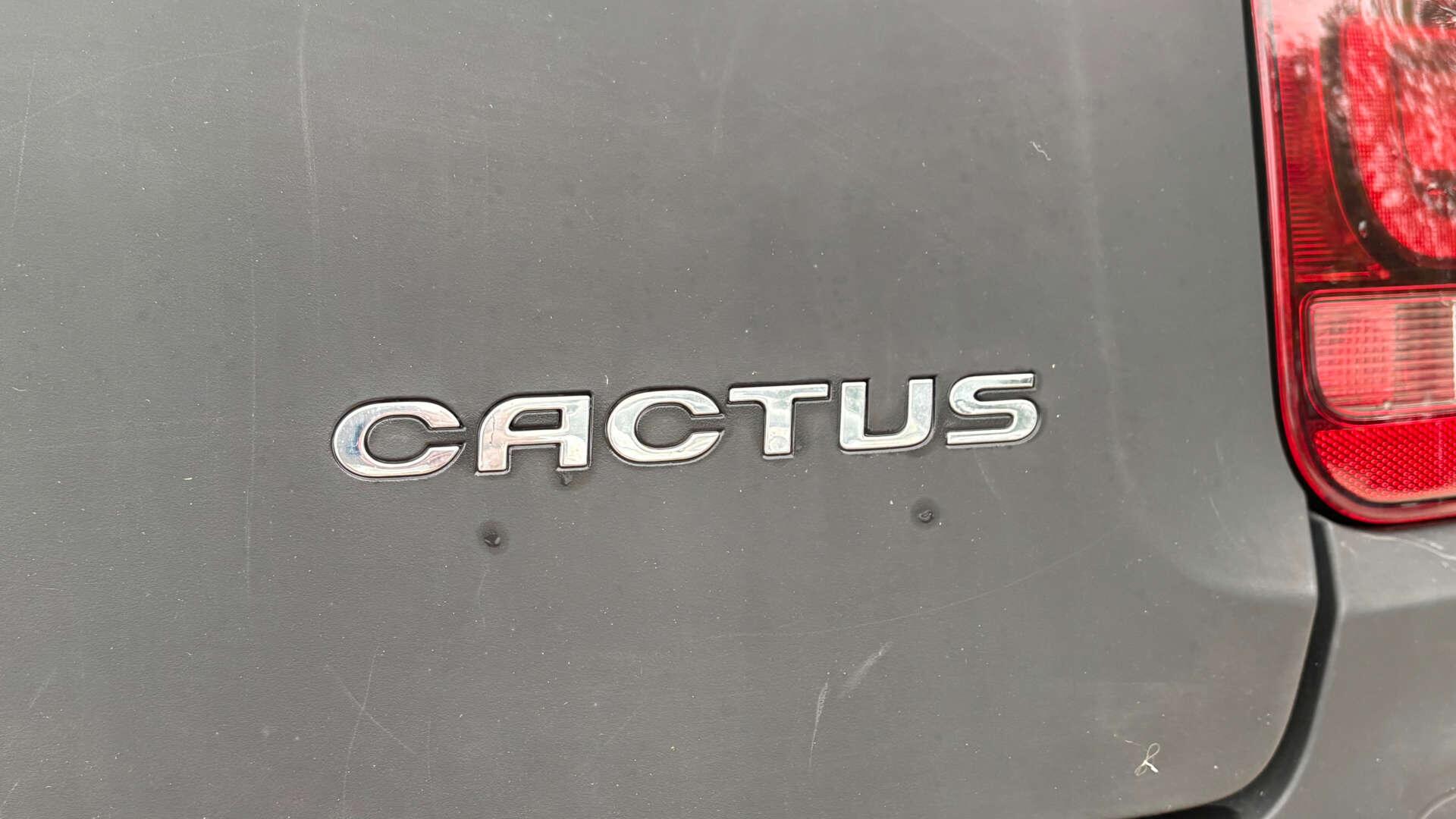 Citroen C4 Cactus view 37