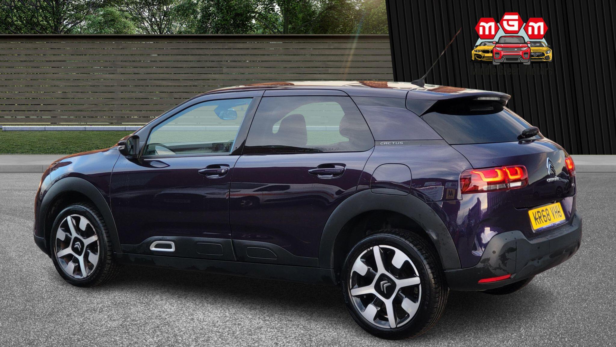Citroen C4 Cactus view 6
