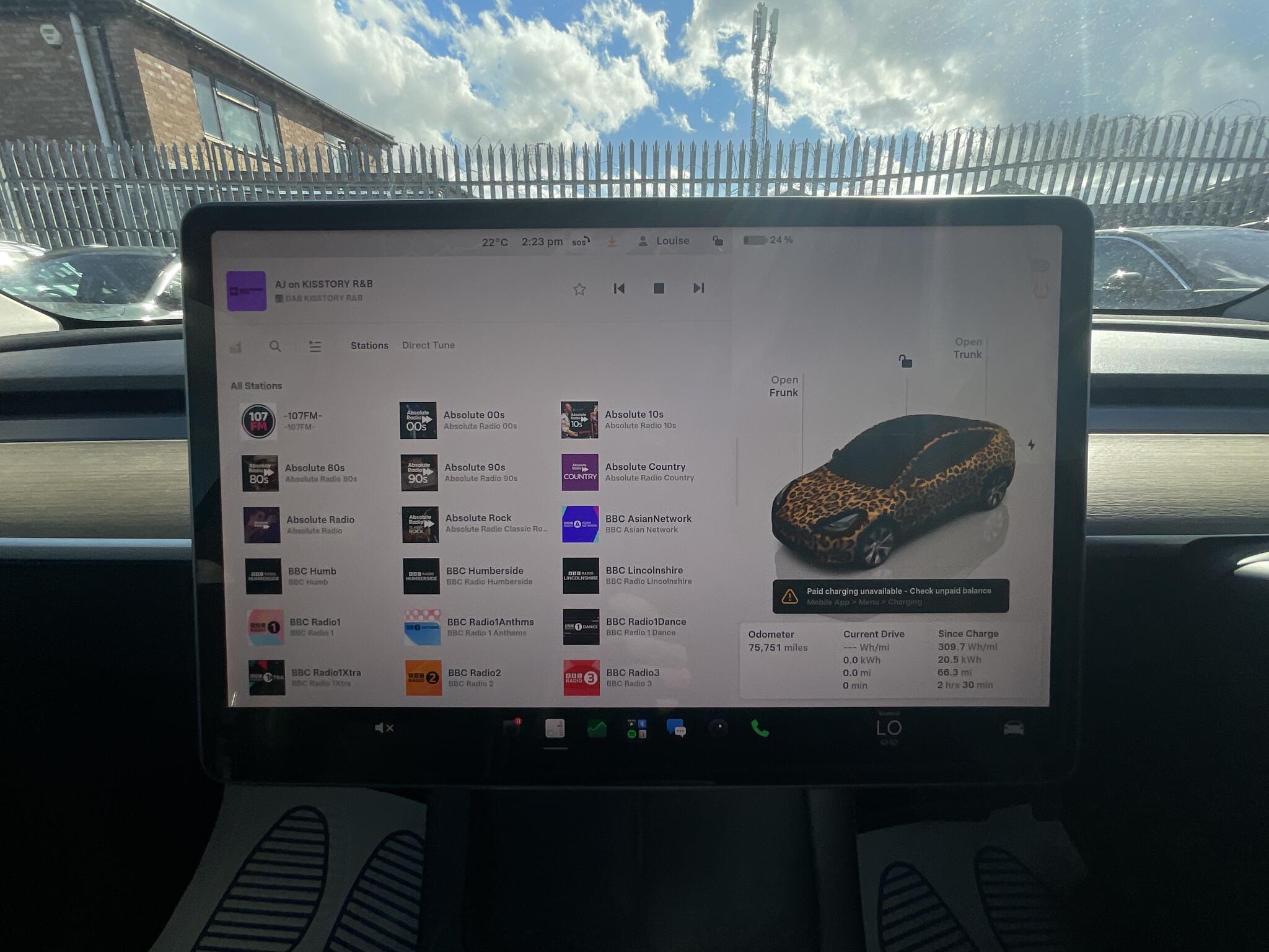 Tesla Model Y view 28