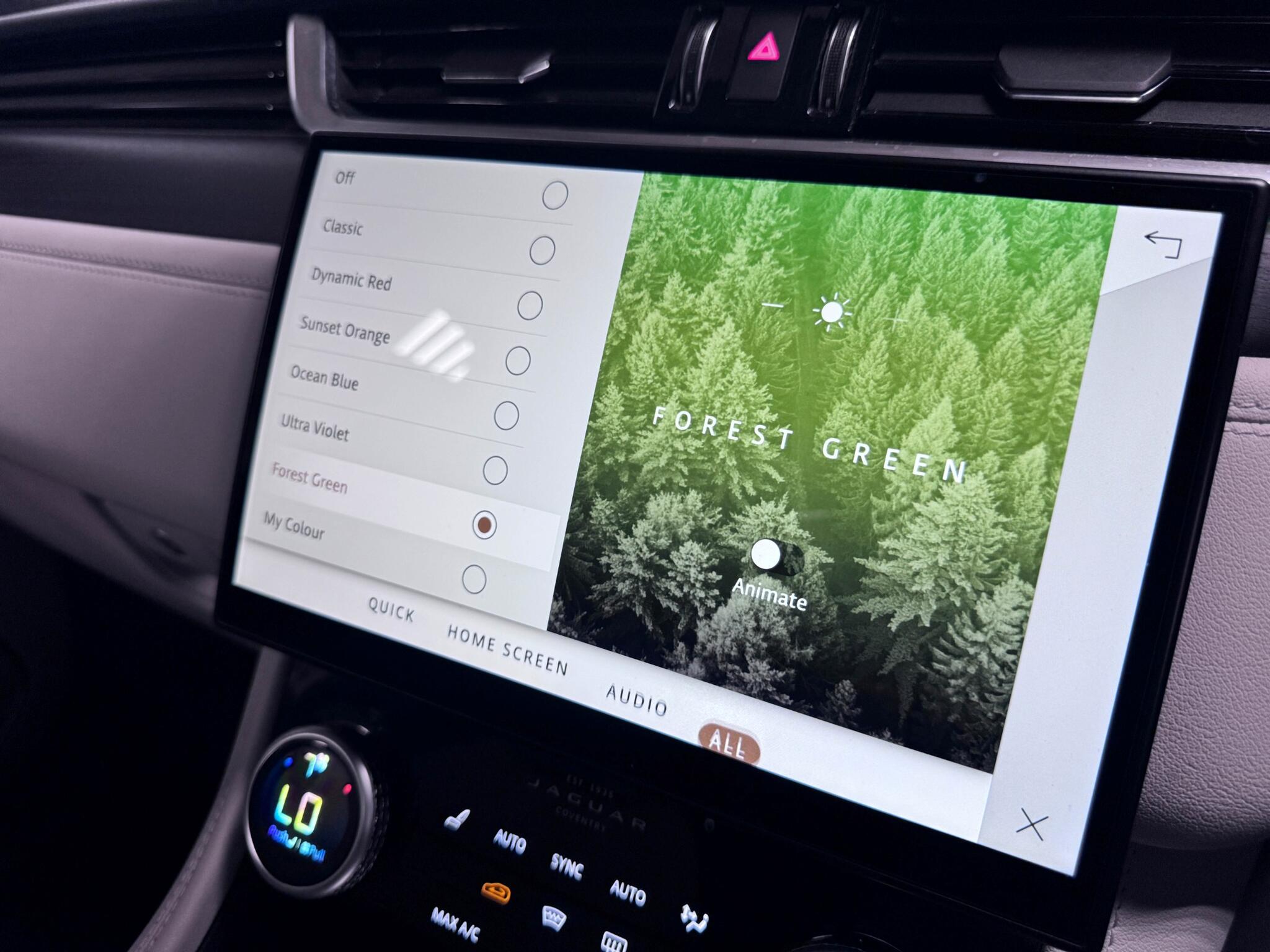 Jaguar F-Pace view 54