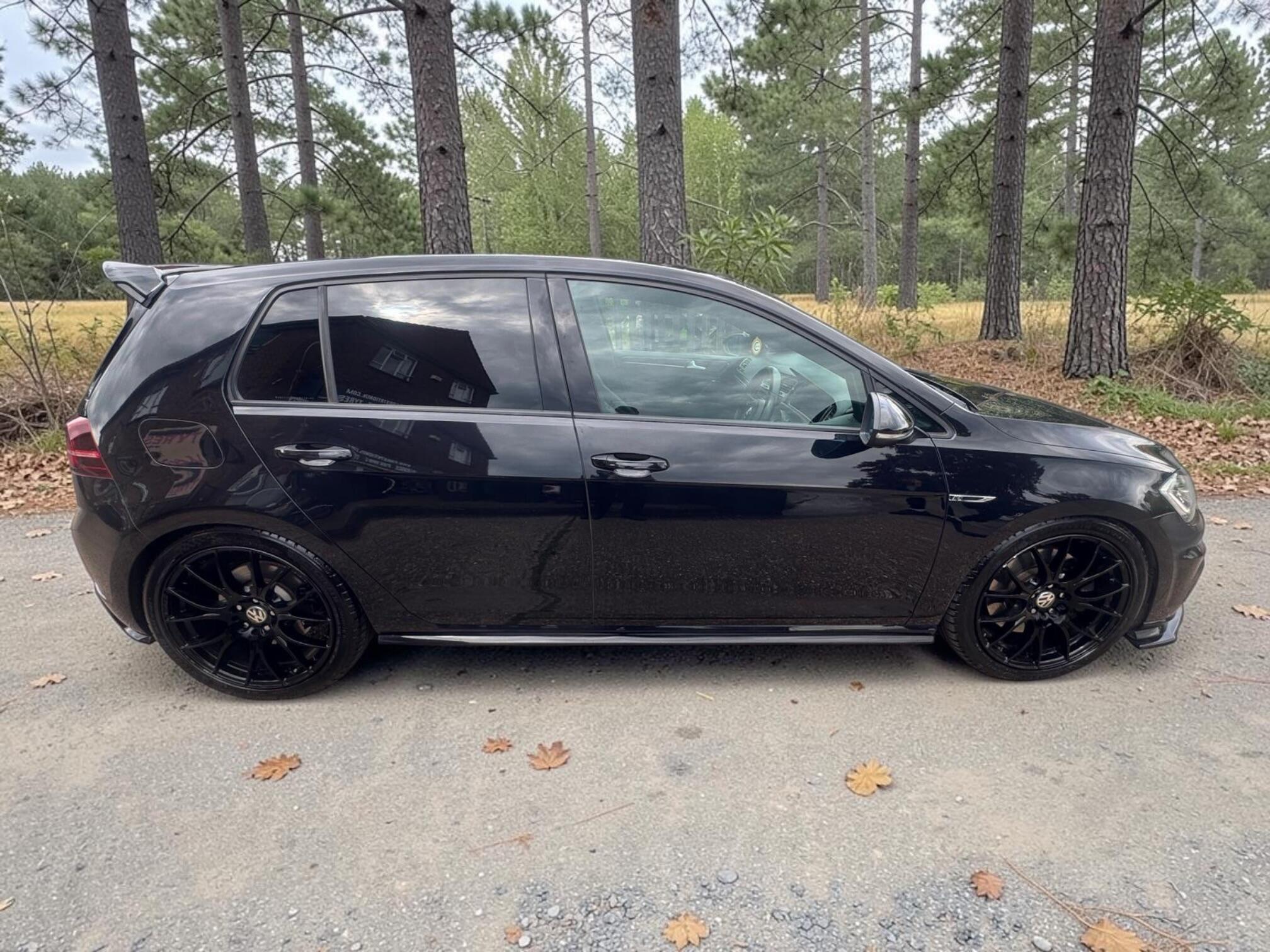Volkswagen Golf view 12