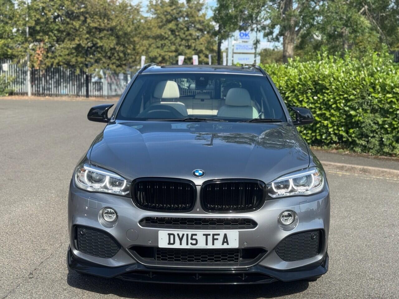 BMW X5 X5 view 8