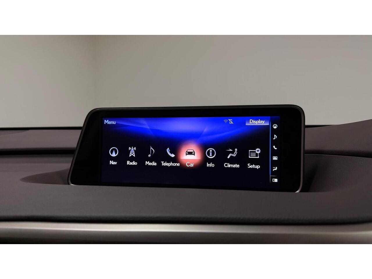 Lexus RX view 26