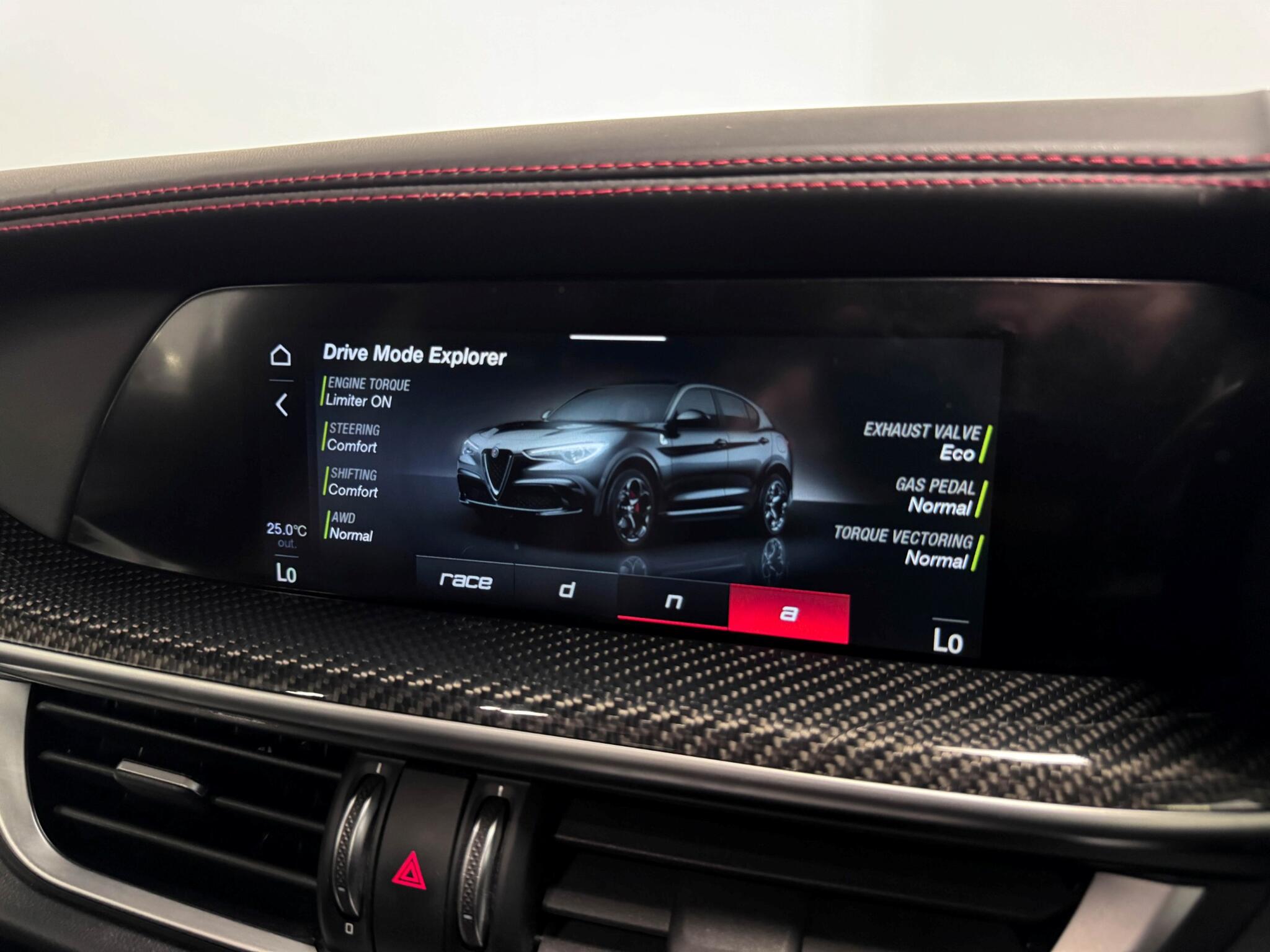 Alfa Romeo Stelvio view 59