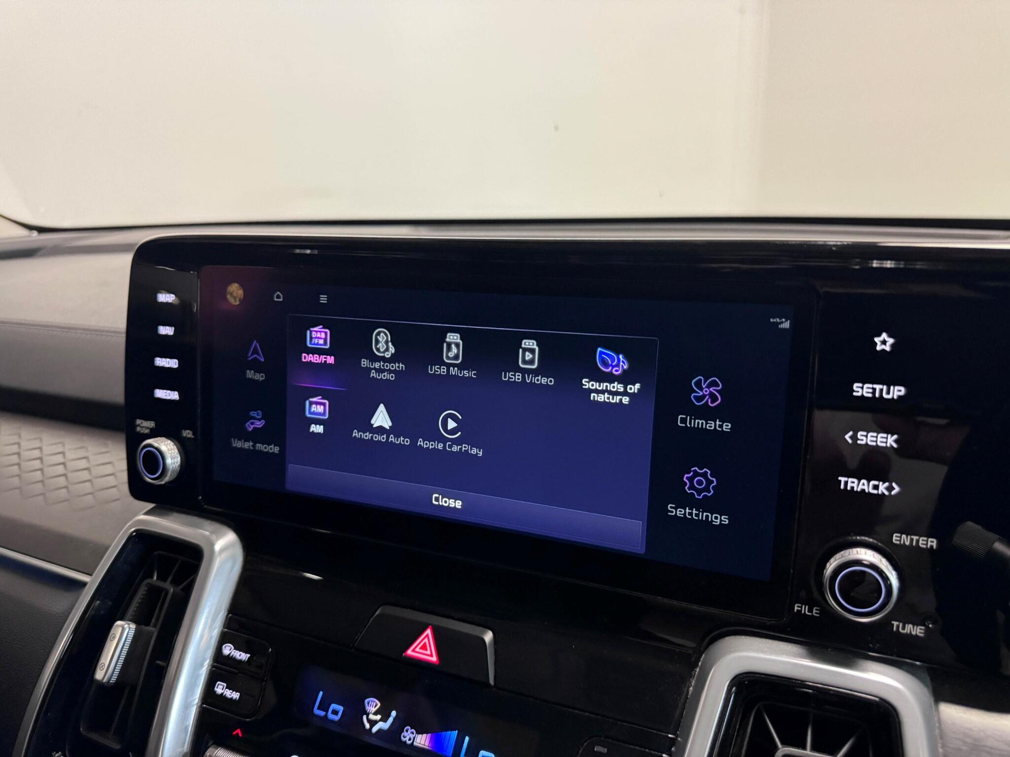 Kia Sorento view 9