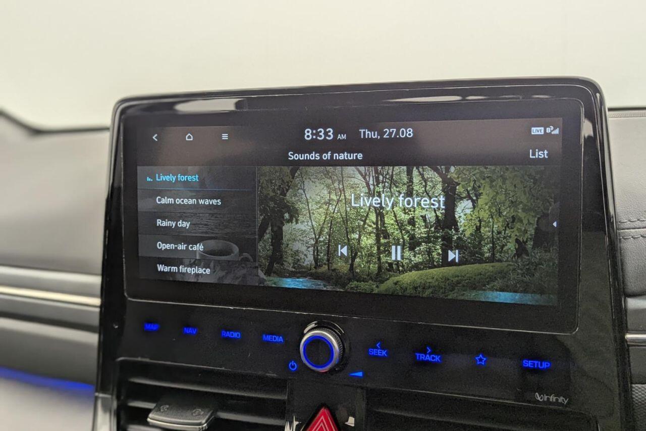 Hyundai Ioniq view 16
