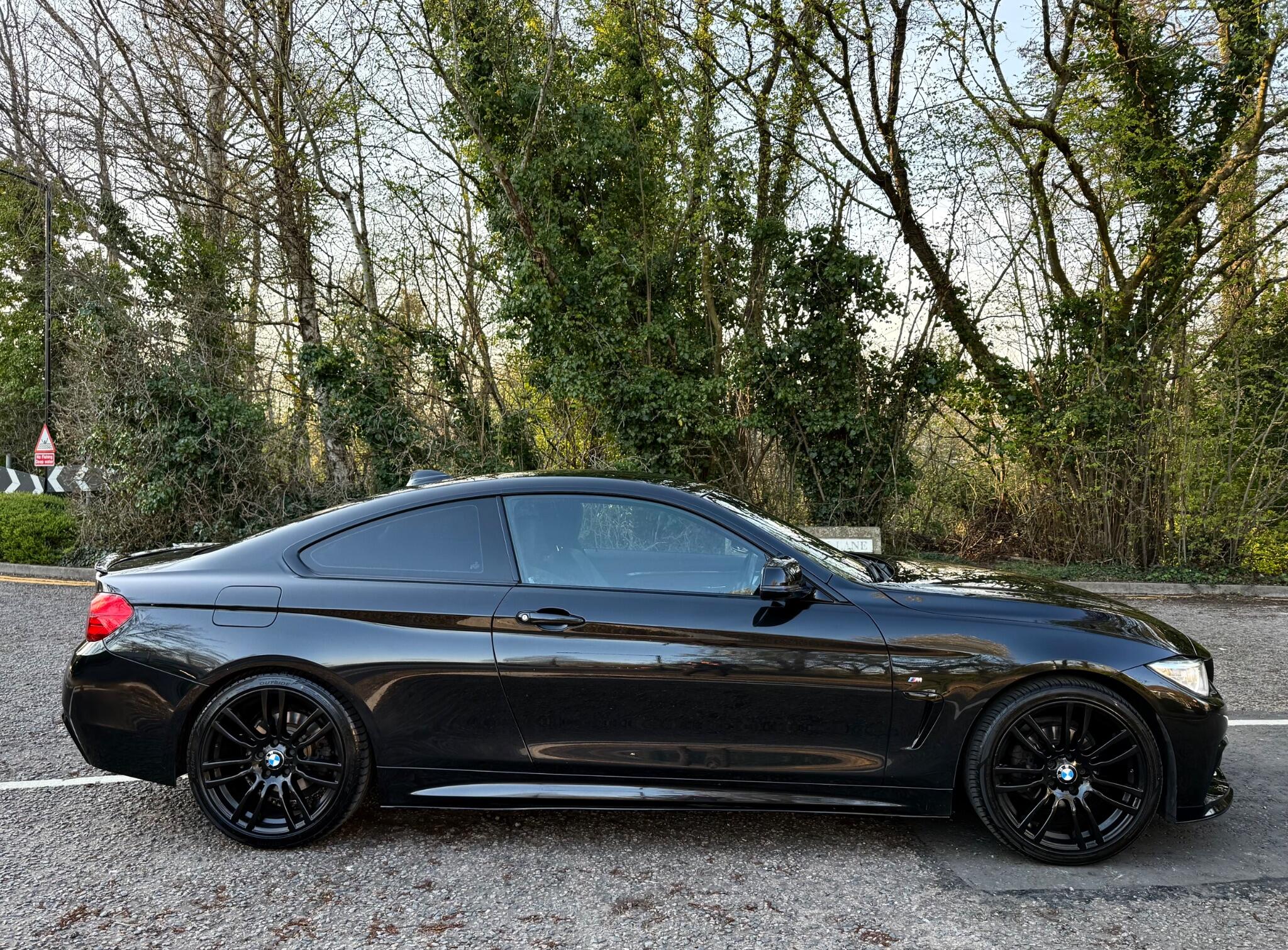 BMW 4 Series view 13