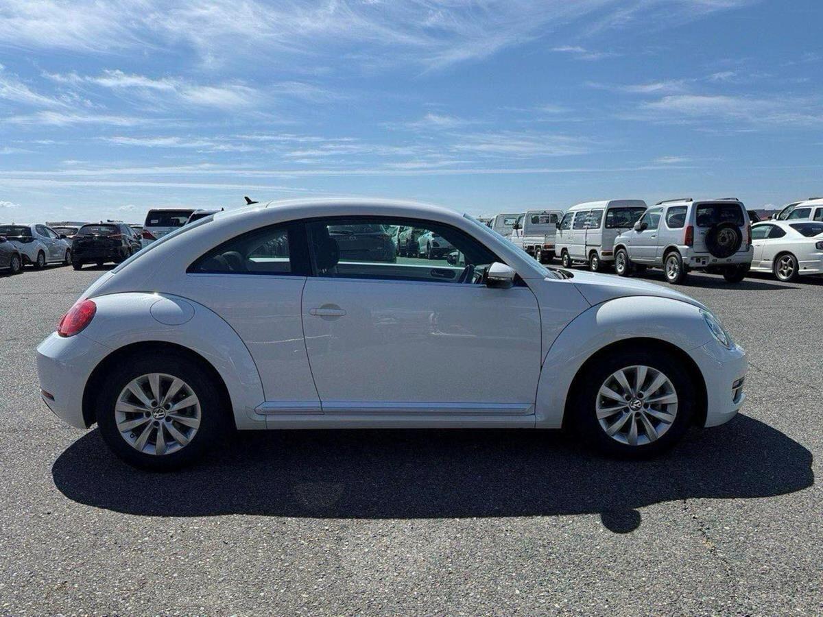 Volkswagen Beetle view 6