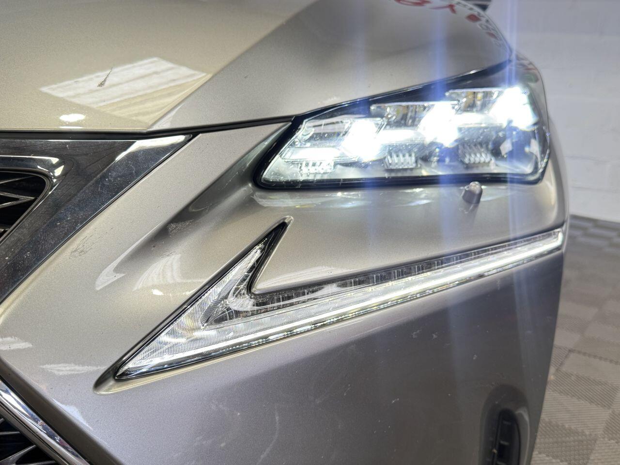 Lexus NX view 26
