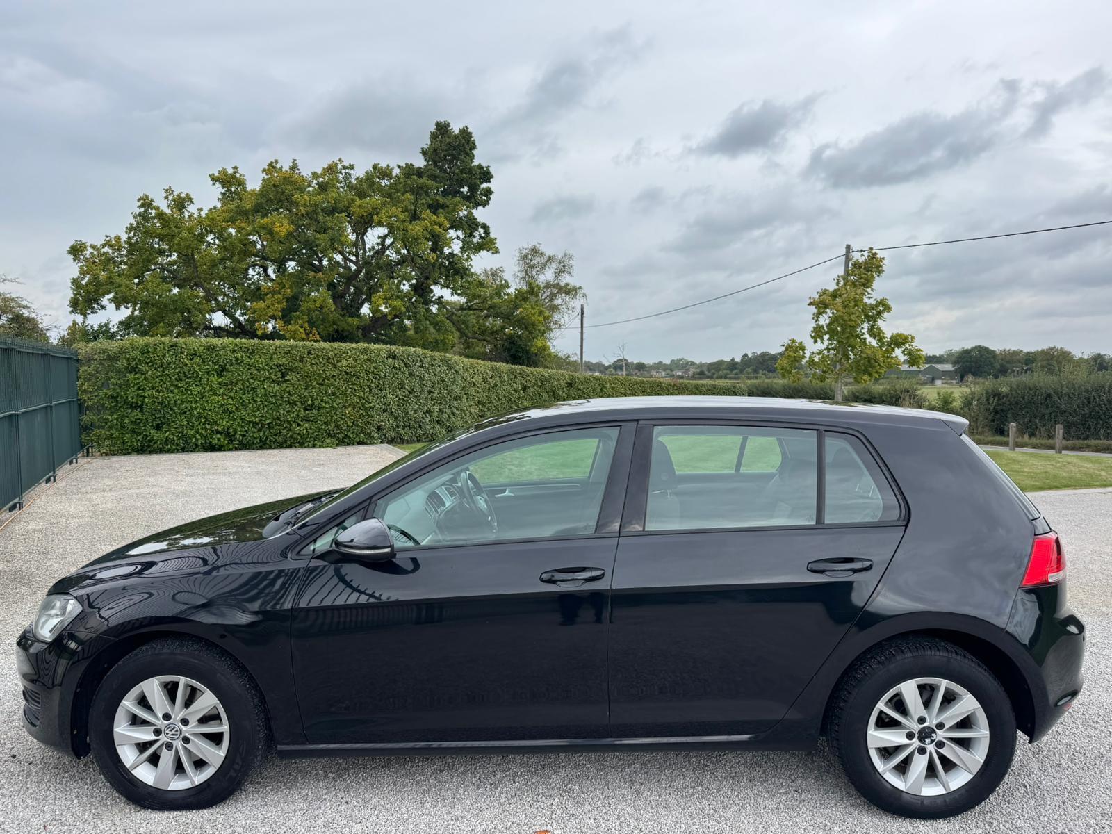 2013 Volkswagen Golf image 8