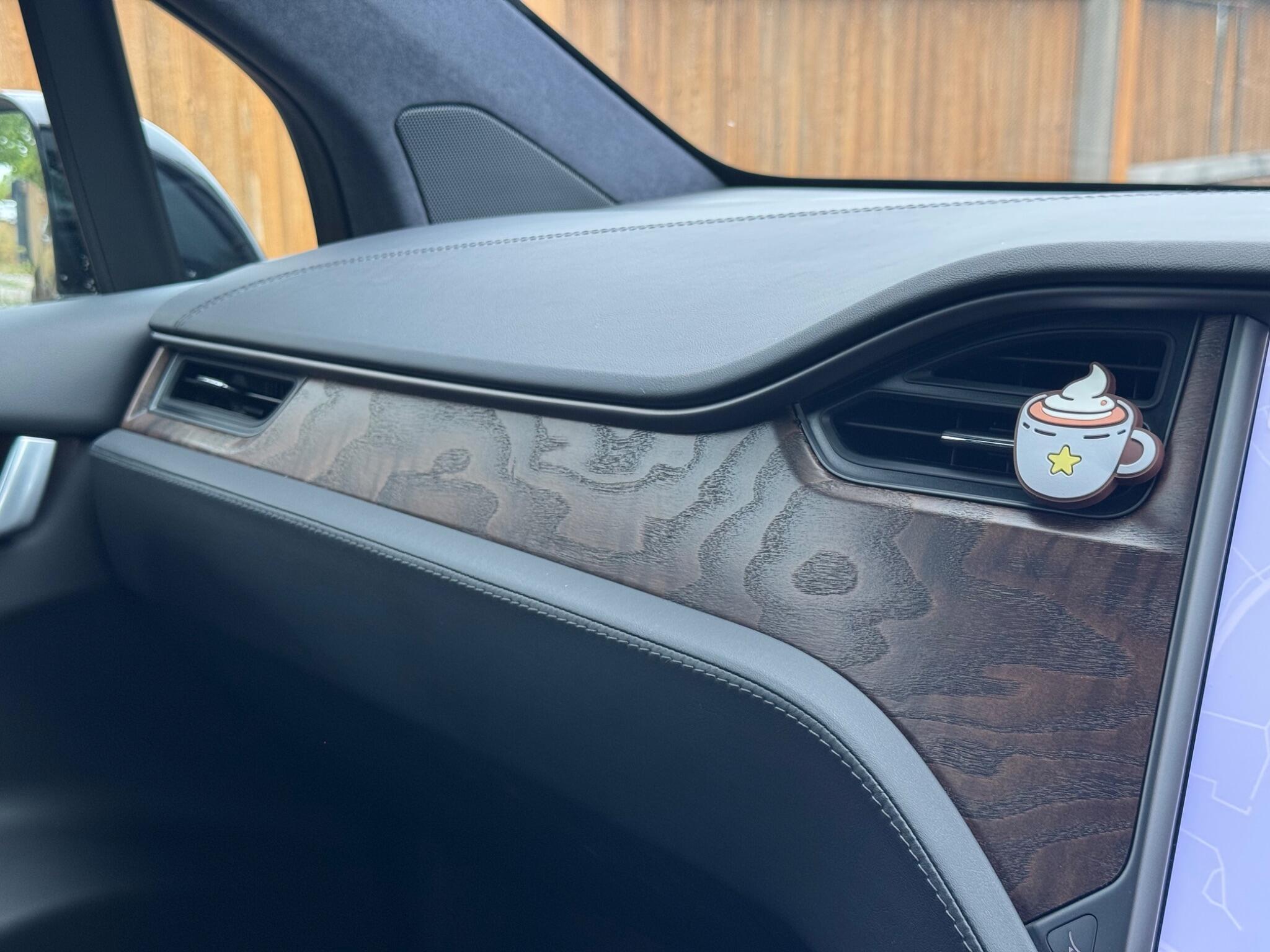 Tesla Model X view 57