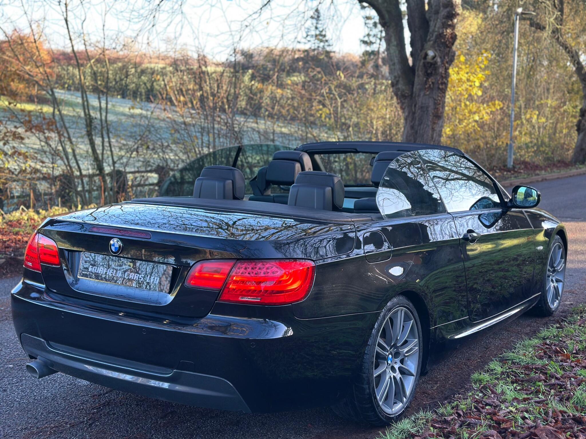 2010 BMW 3 Series image 24