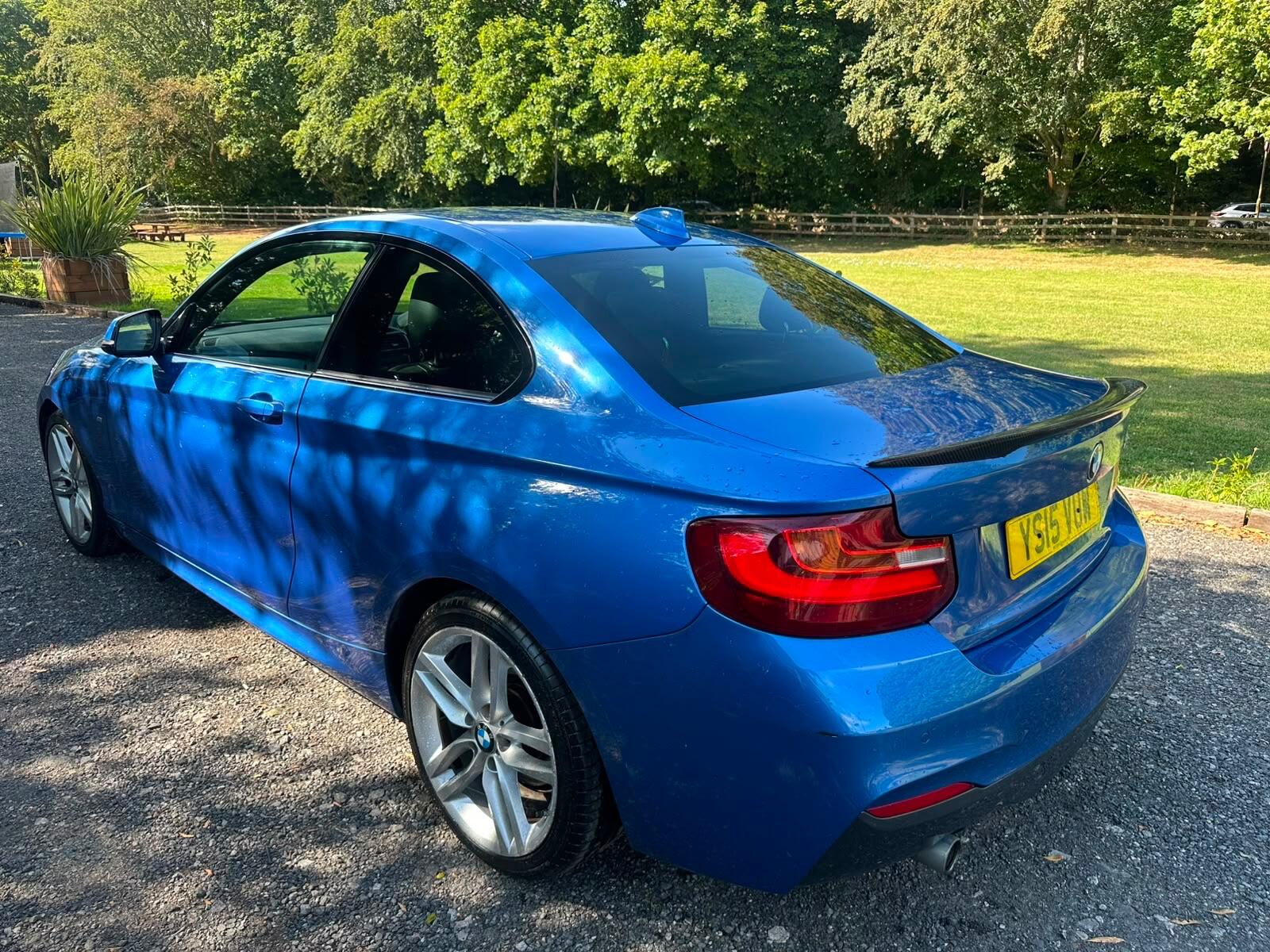 BMW 2 Series view 9