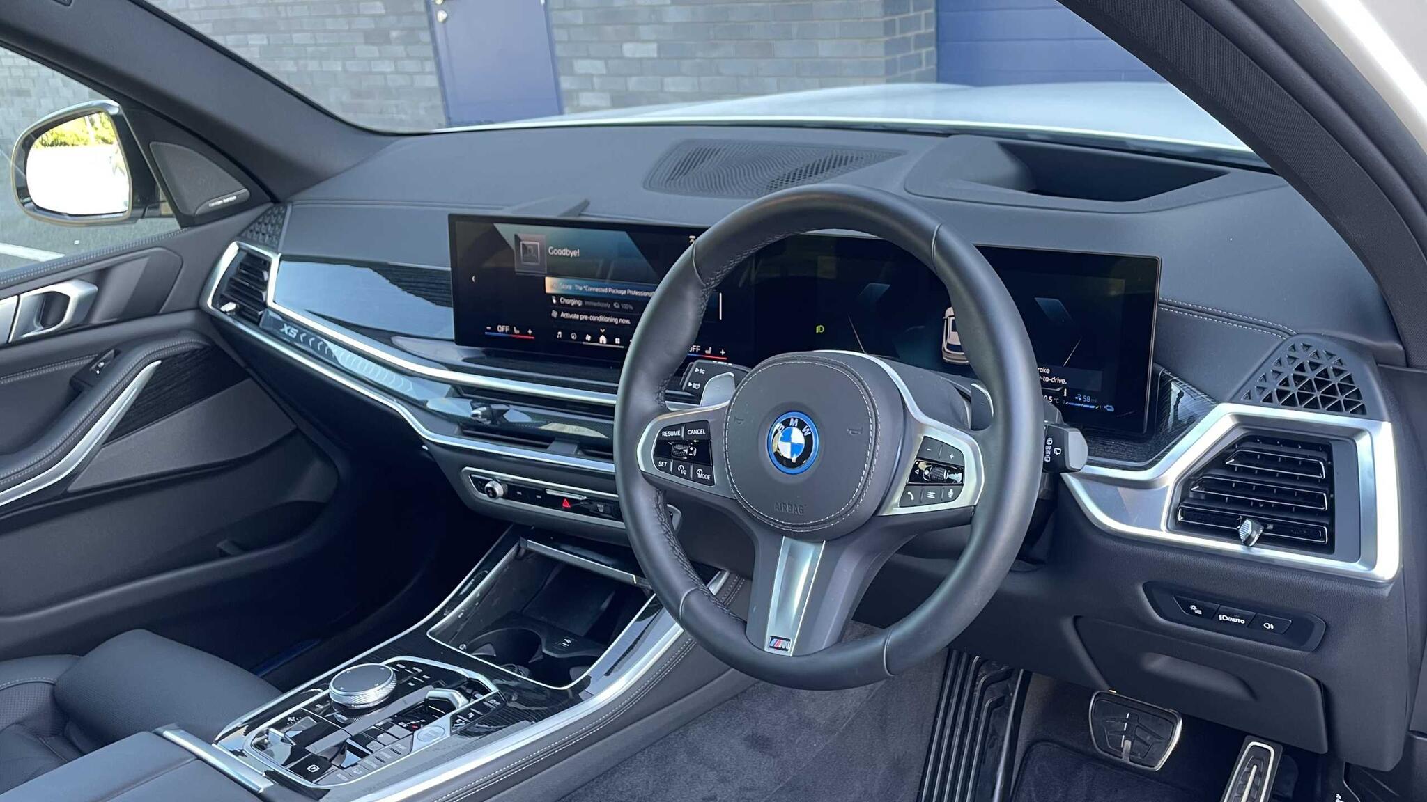 BMW X5 view 8