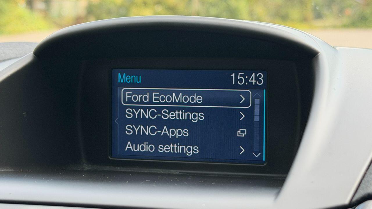 Ford Fiesta view 20