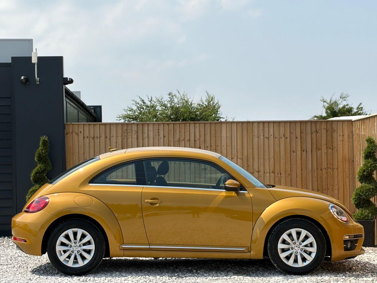 Volkswagen Beetle view 7