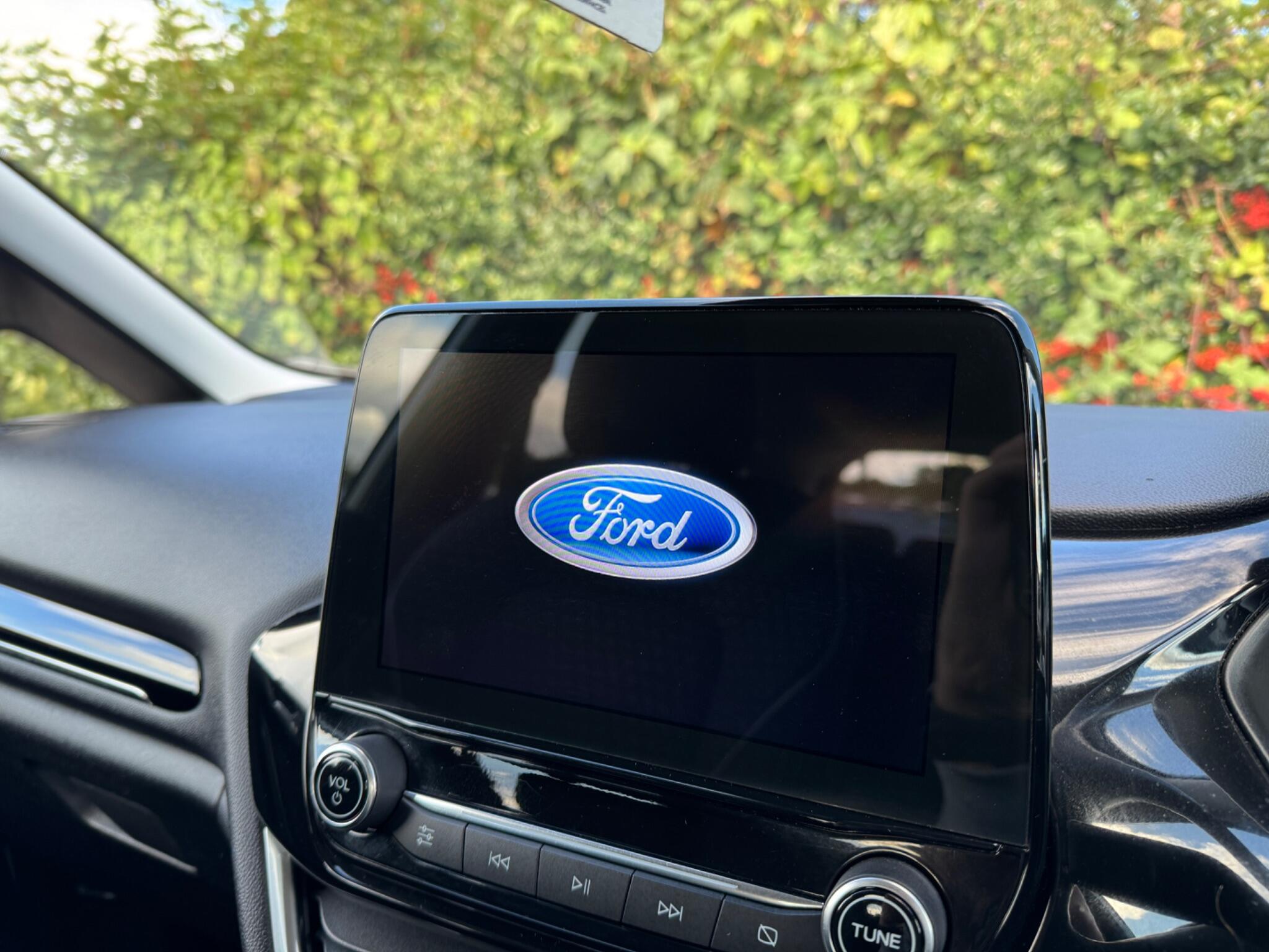 Ford Fiesta view 41