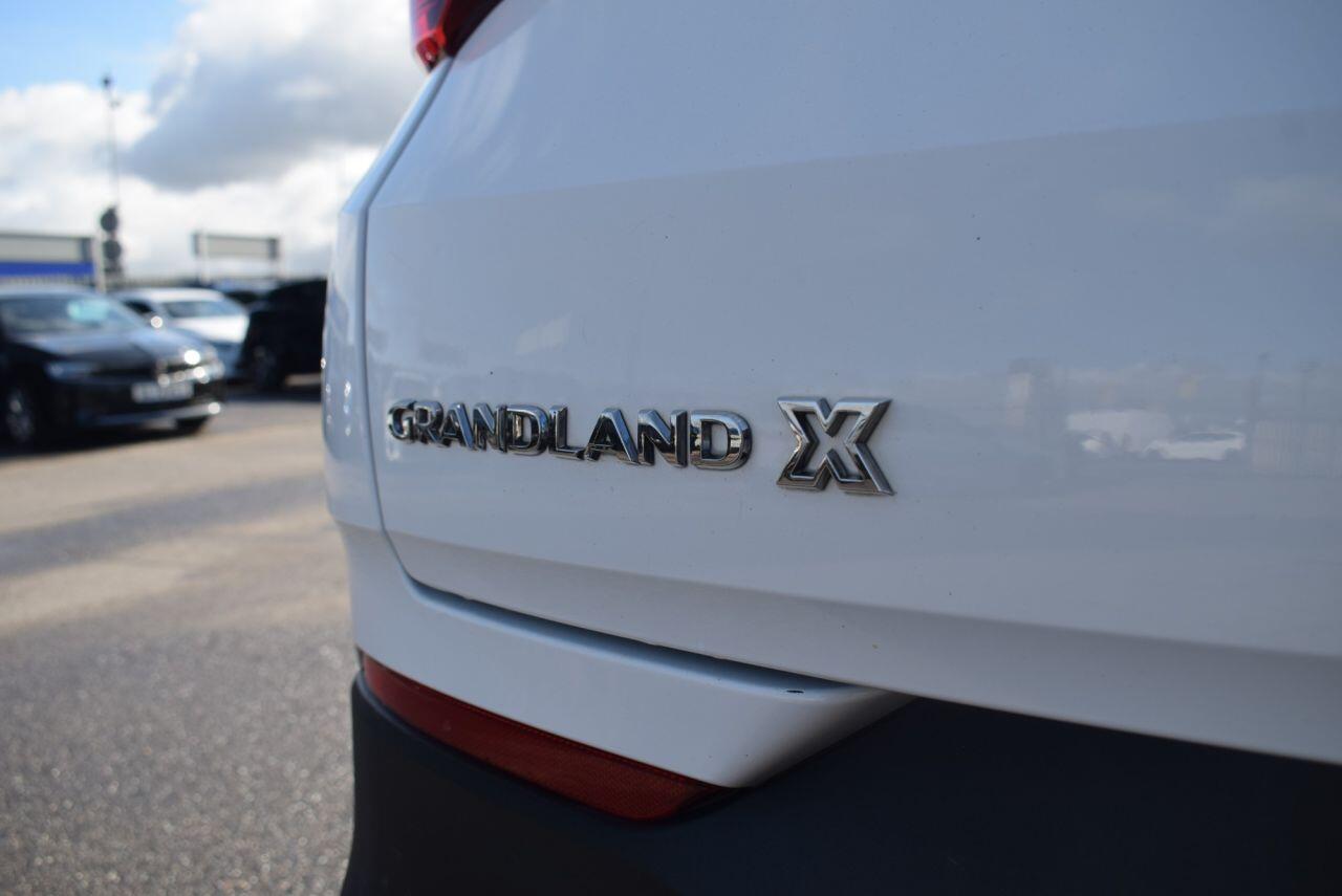 Vauxhall Grandland X view 19