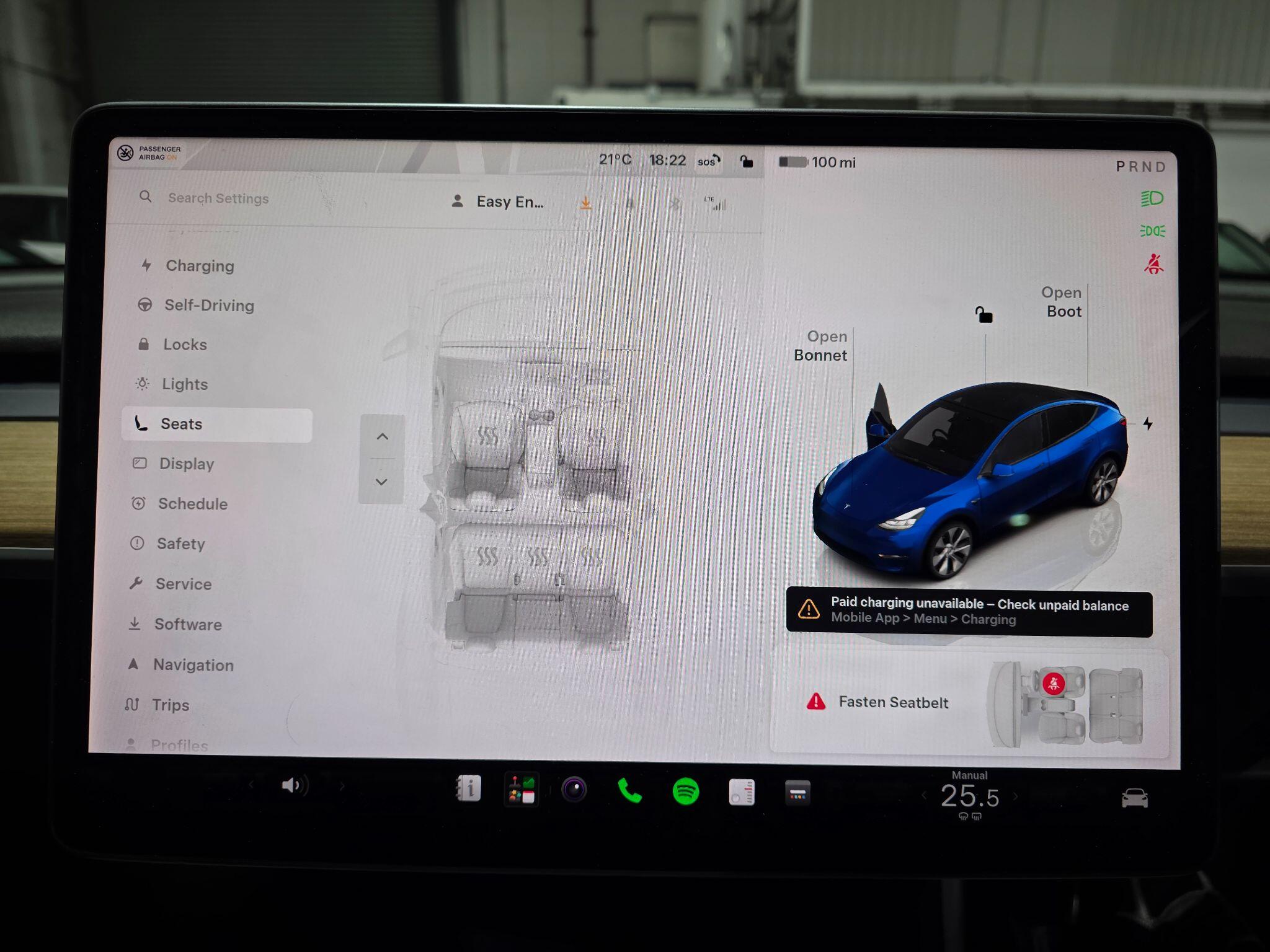 Tesla Model Y view 12