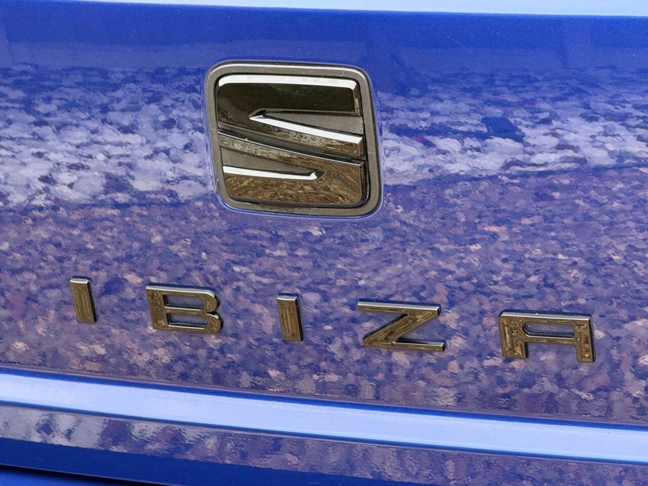 Seat Ibiza view 29