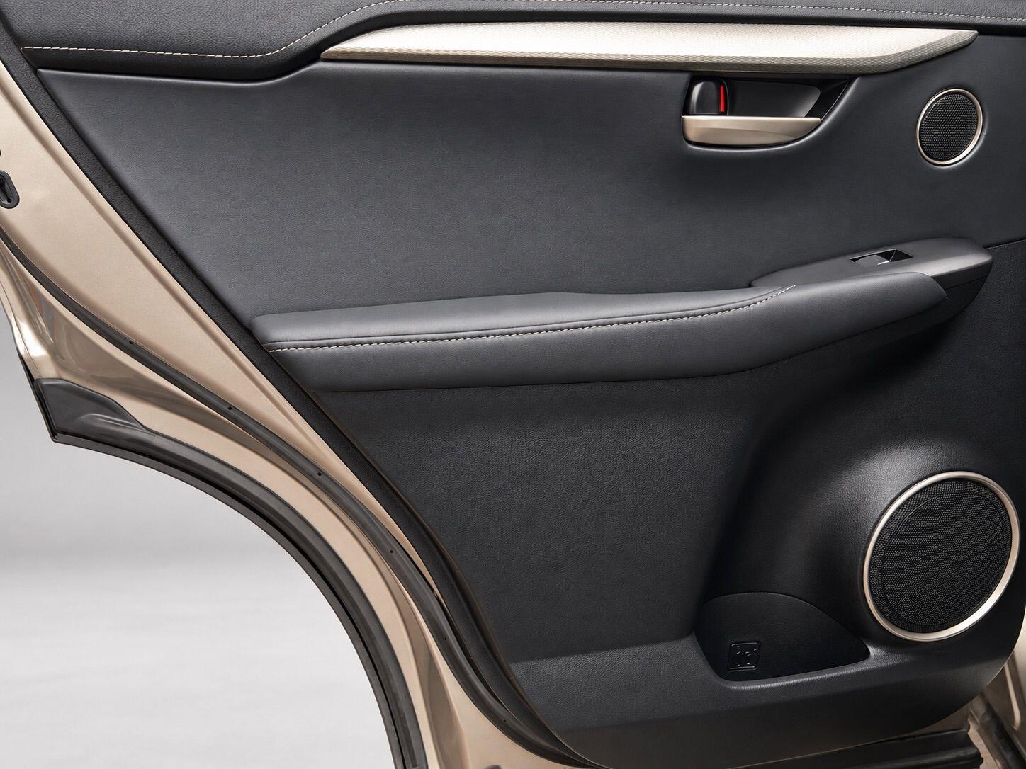 Lexus NX view 30