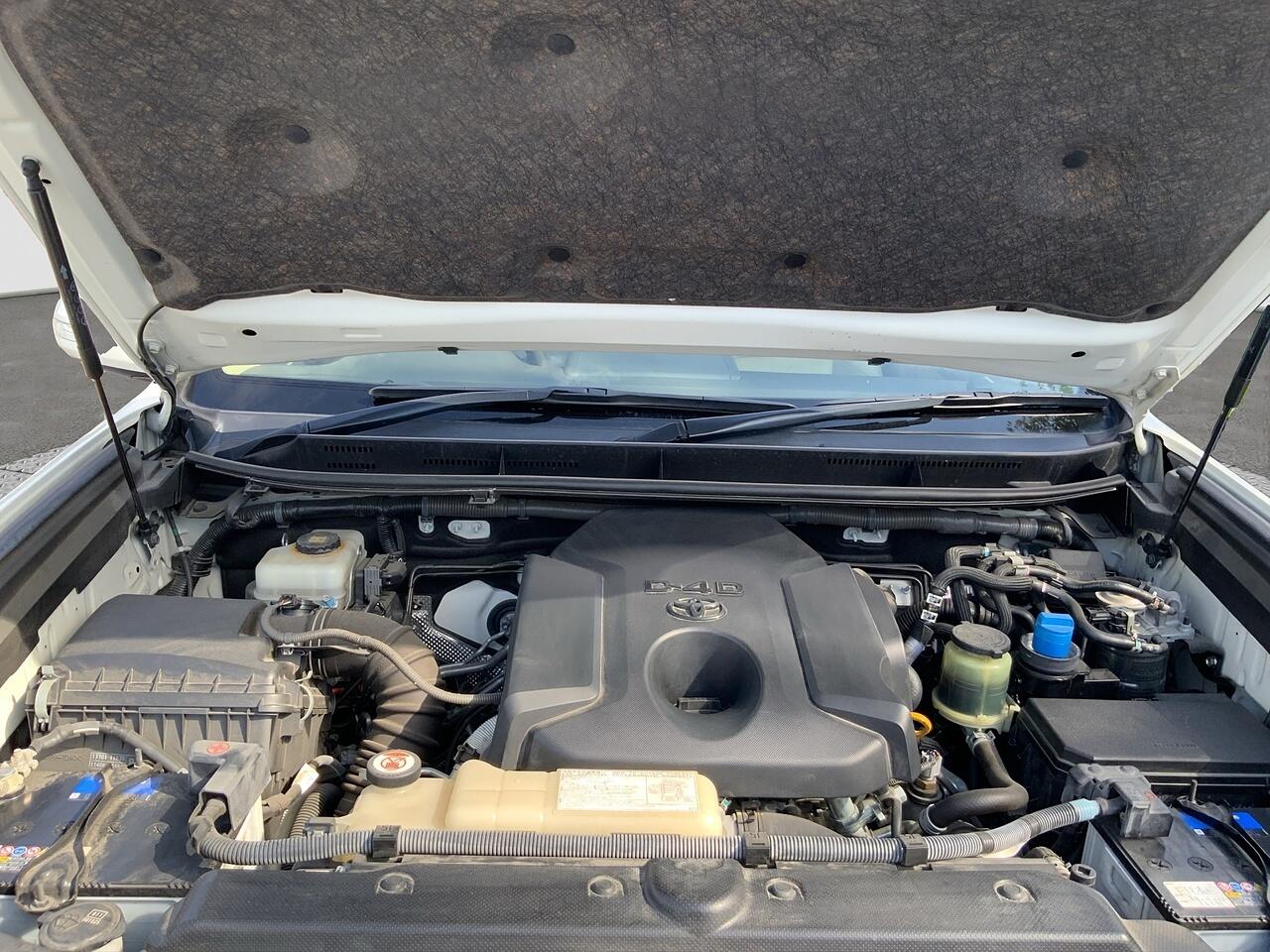 Toyota Land Cruiser view 20