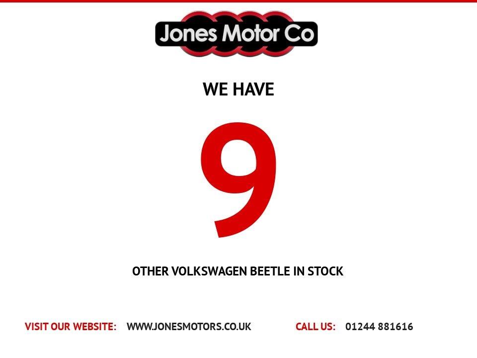Volkswagen Beetle view 7