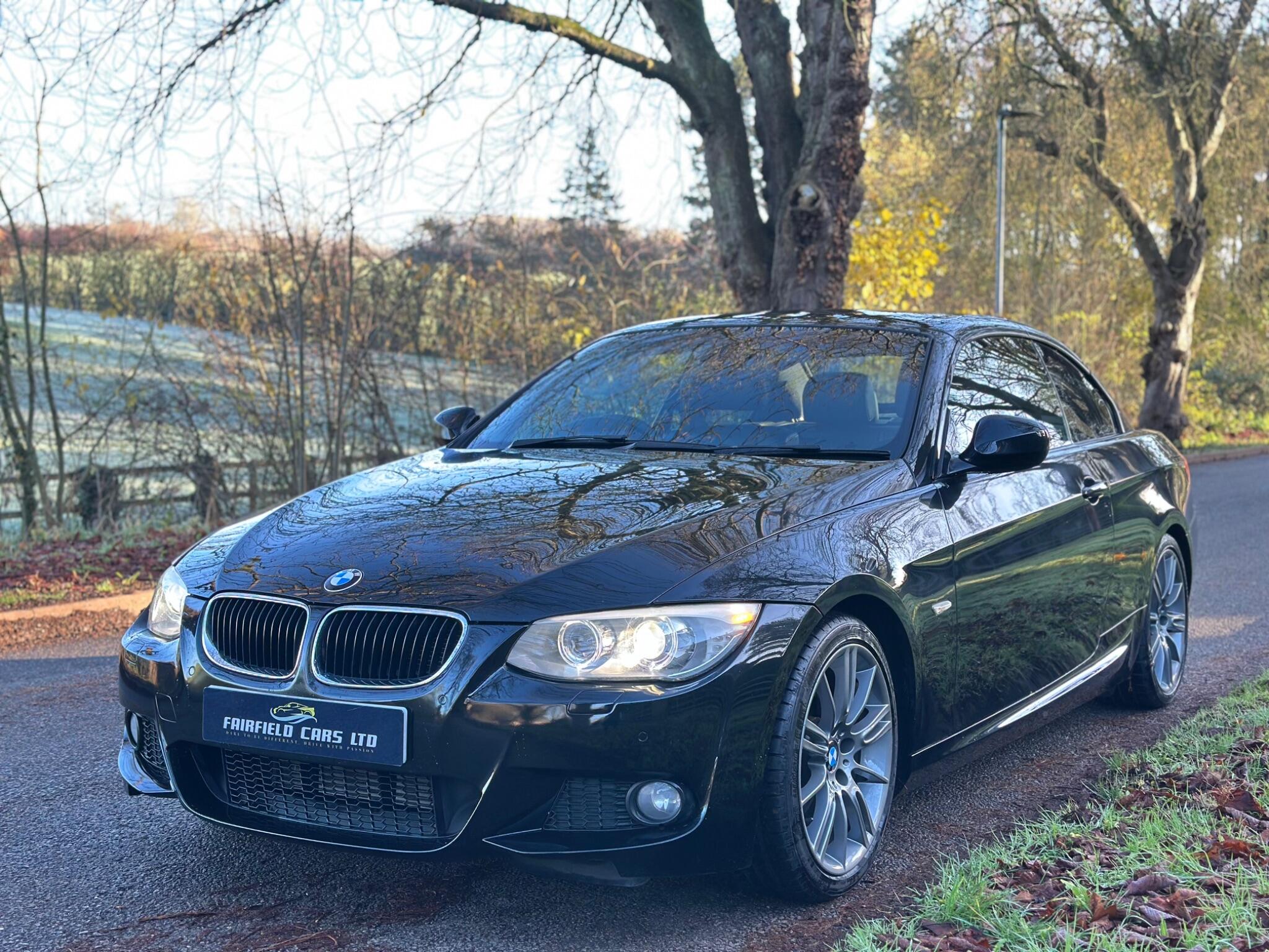 2010 BMW 3 Series image 3