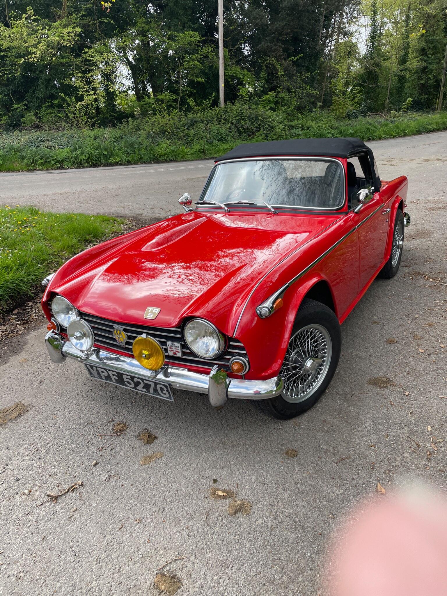 Triumph TR5